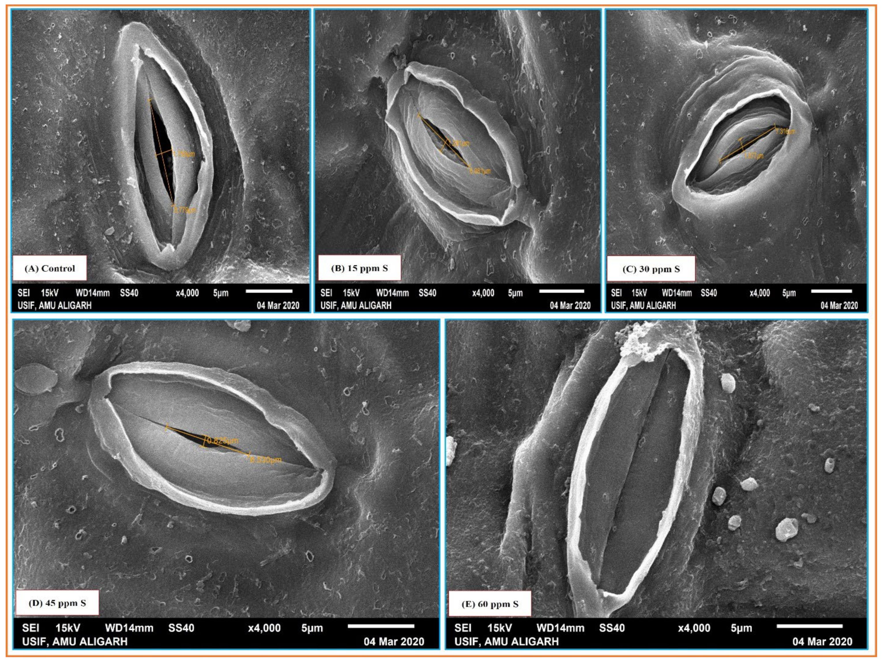Sustainability 14 14441 g005 Sustainability 14 14441 g005
