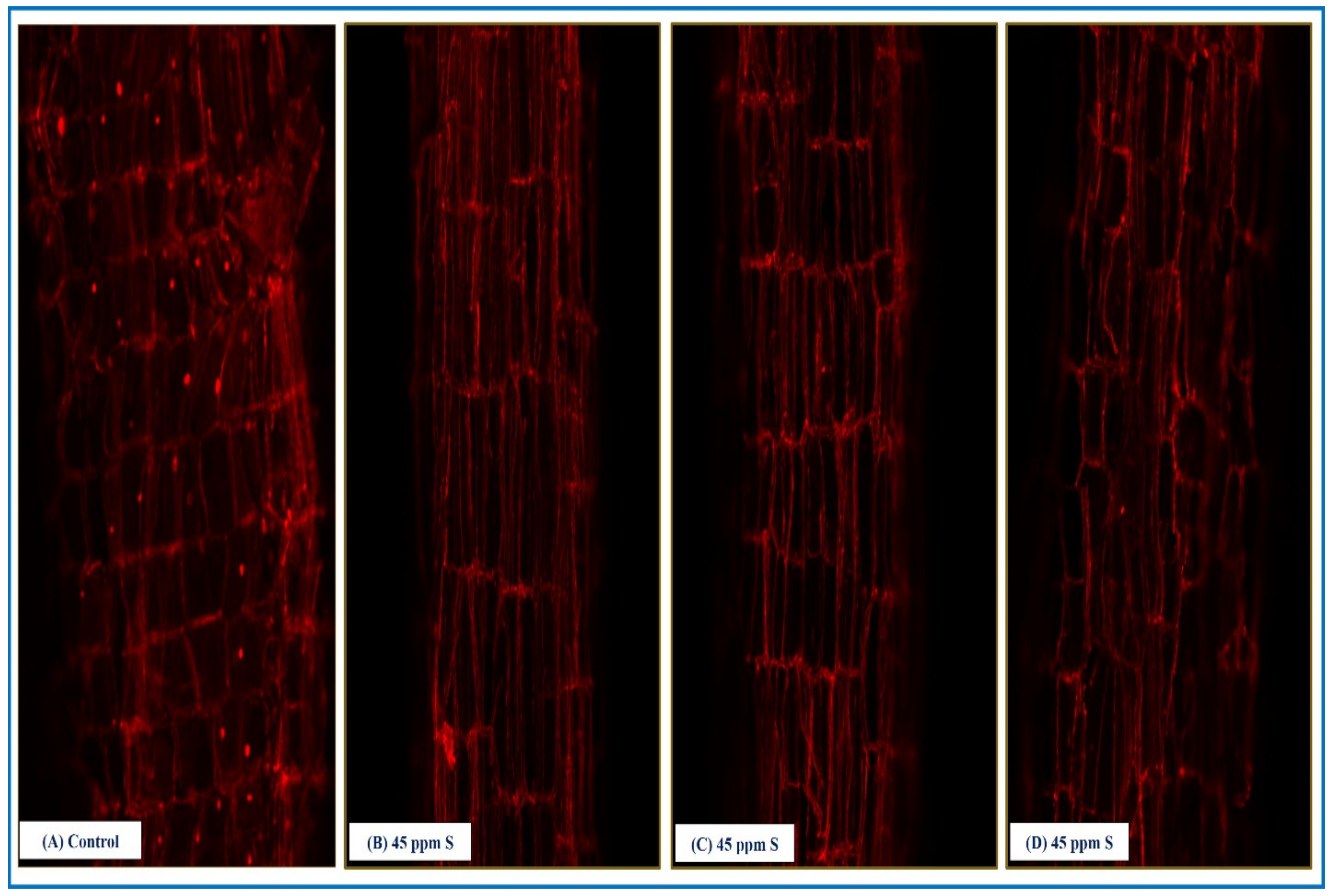 Sustainability 14 14441 g006 Sustainability 14 14441 g006