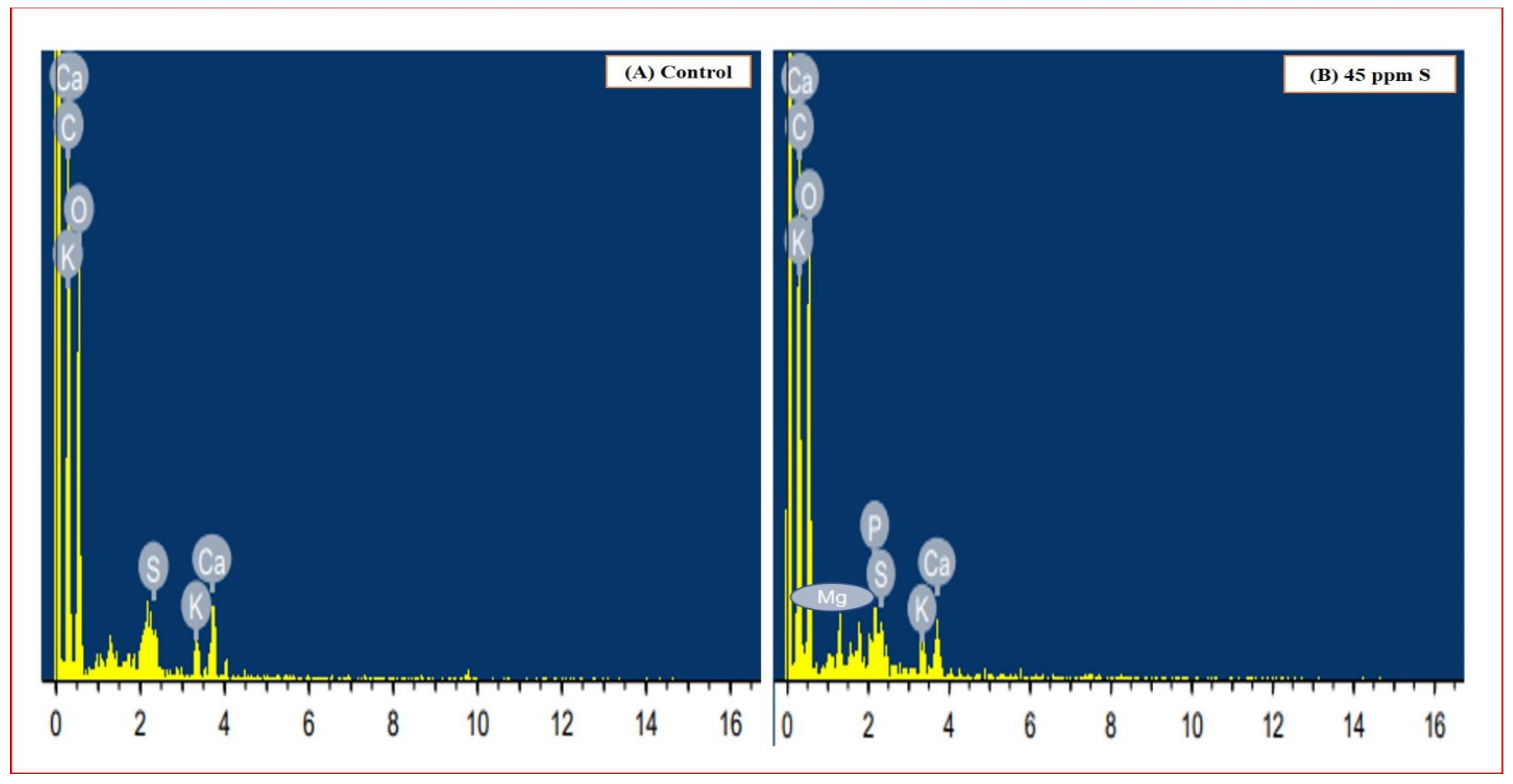 Sustainability 14 14441 g008 Sustainability 14 14441 g008