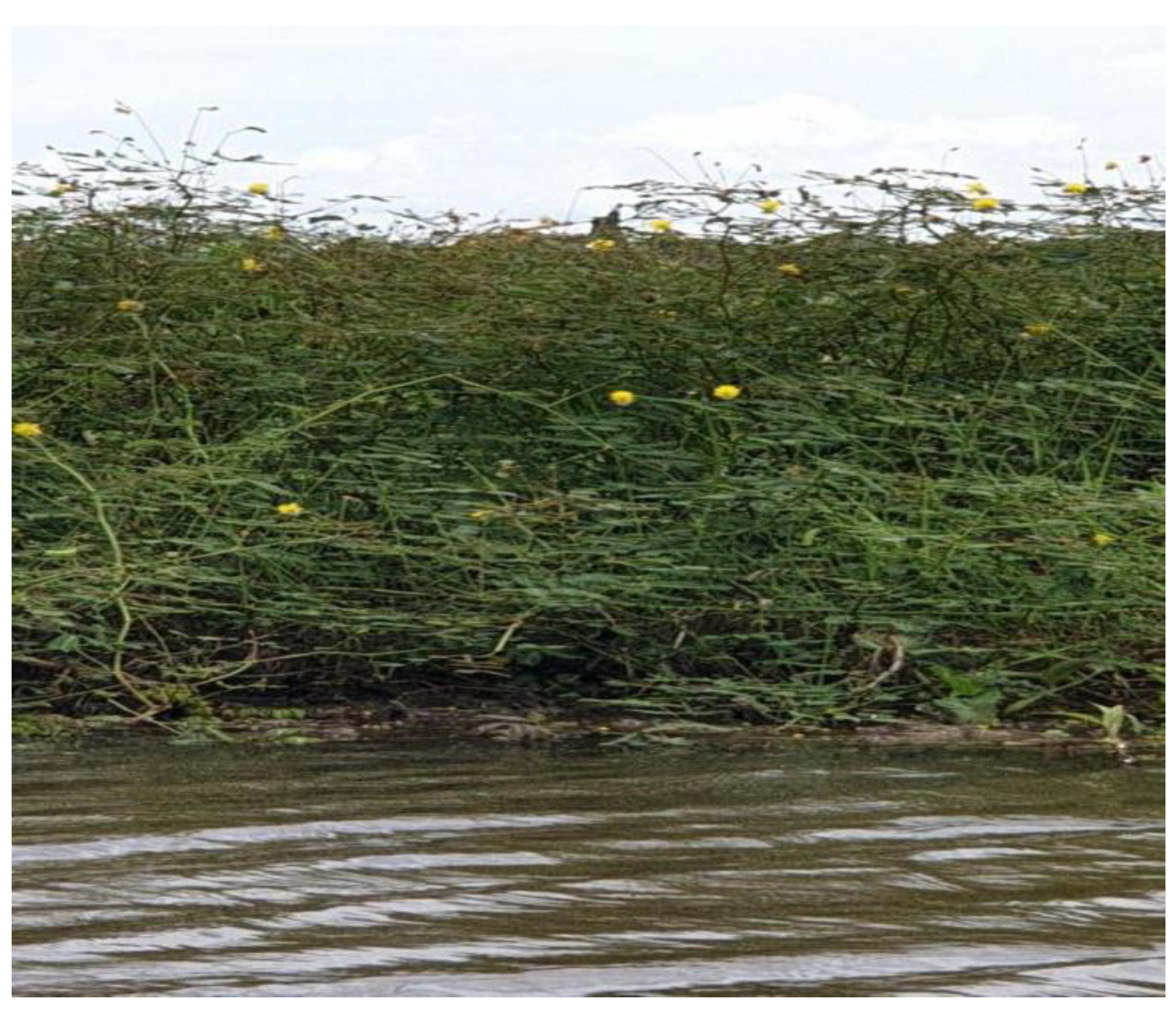 Sustainability 14 14461 g003 Sustainability 14 14461 g003