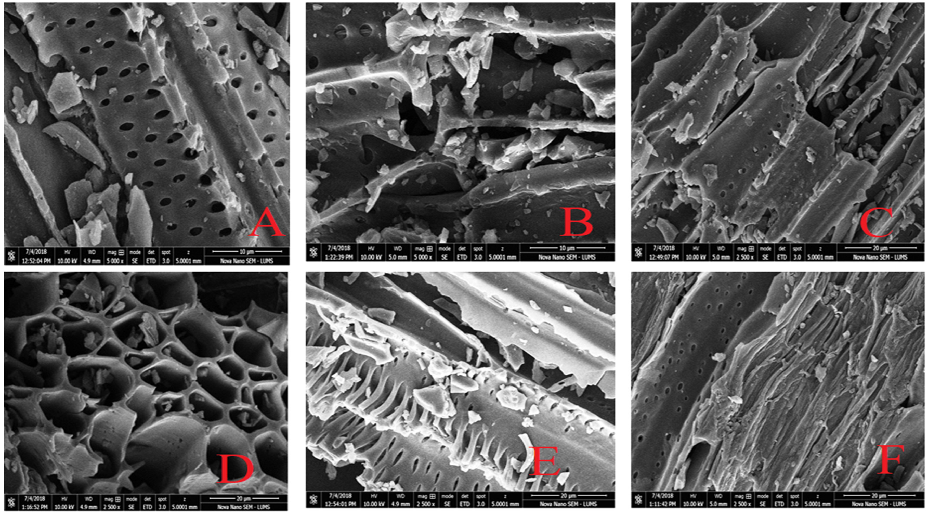 Sustainability 14 14523 g006 Sustainability 14 14523 g006