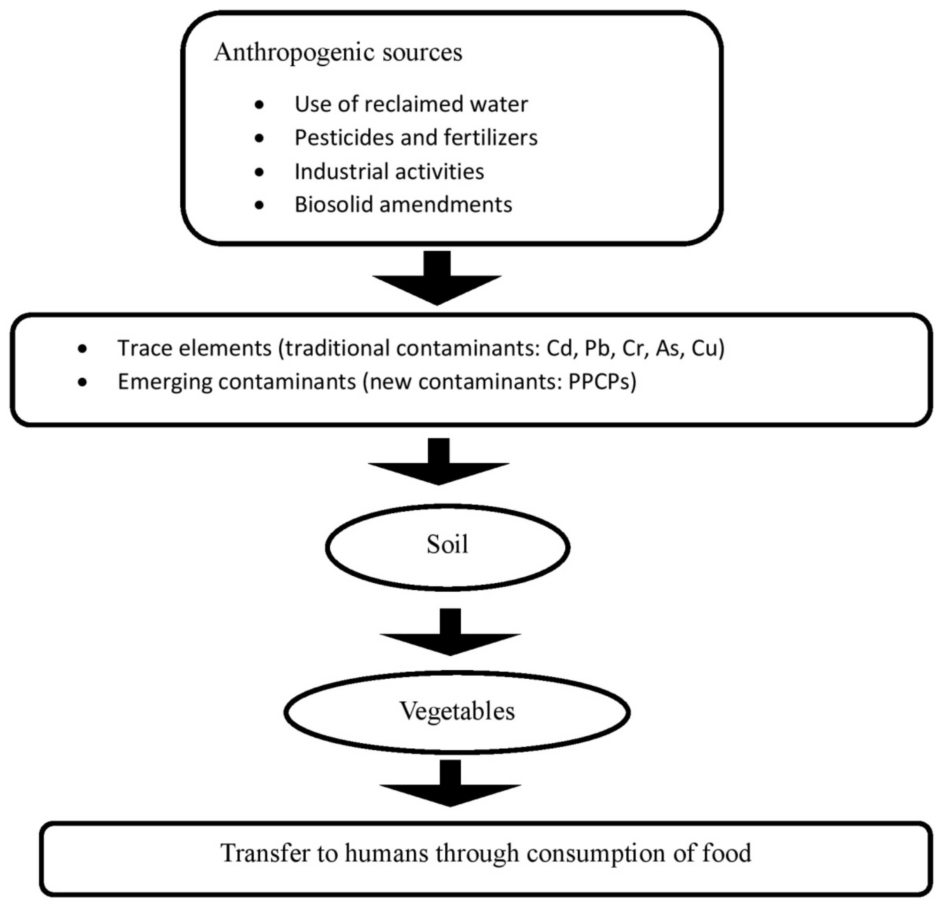 Sustainability 14 14539 g001