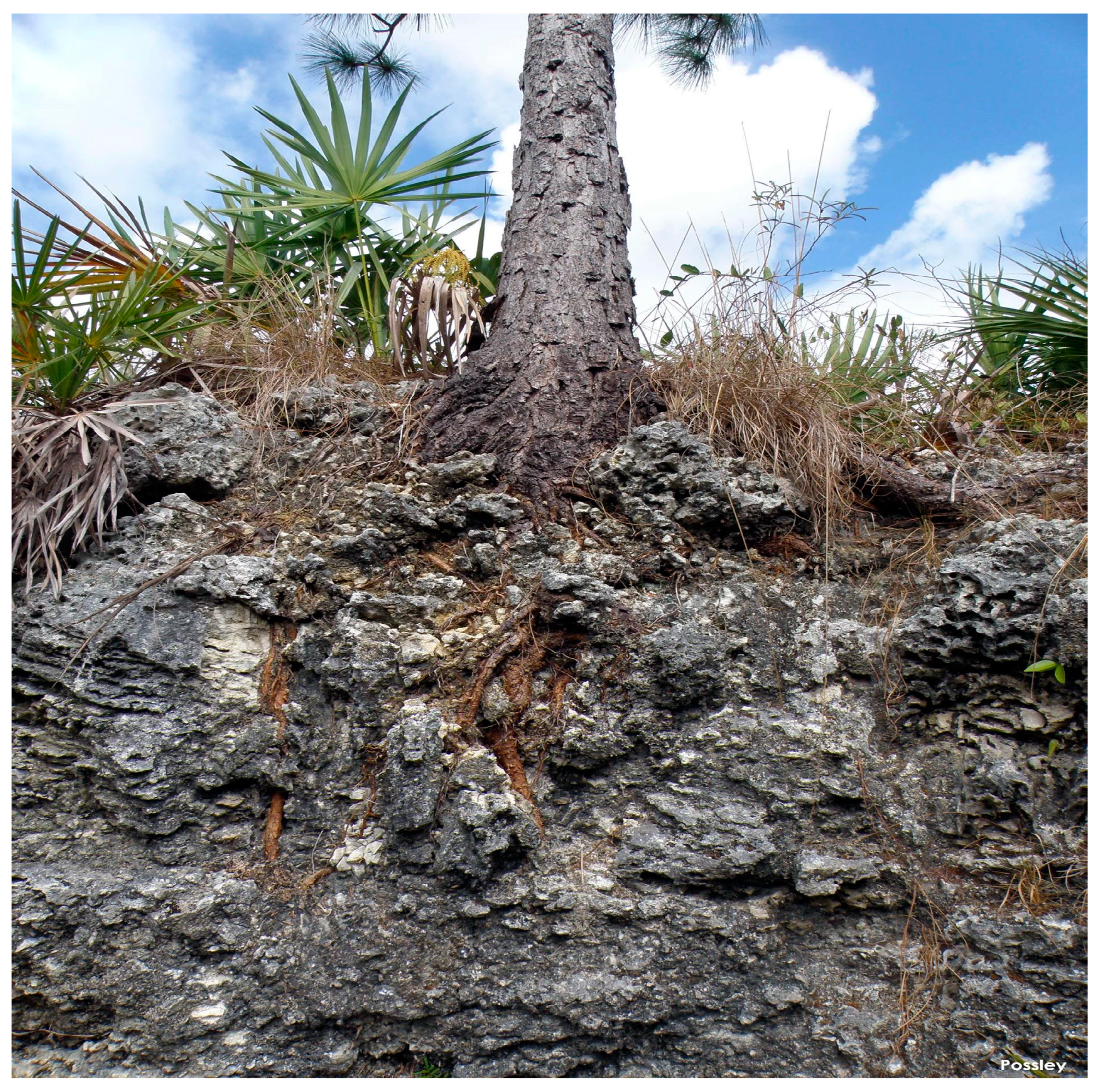 Sustainability 14 14553 g002