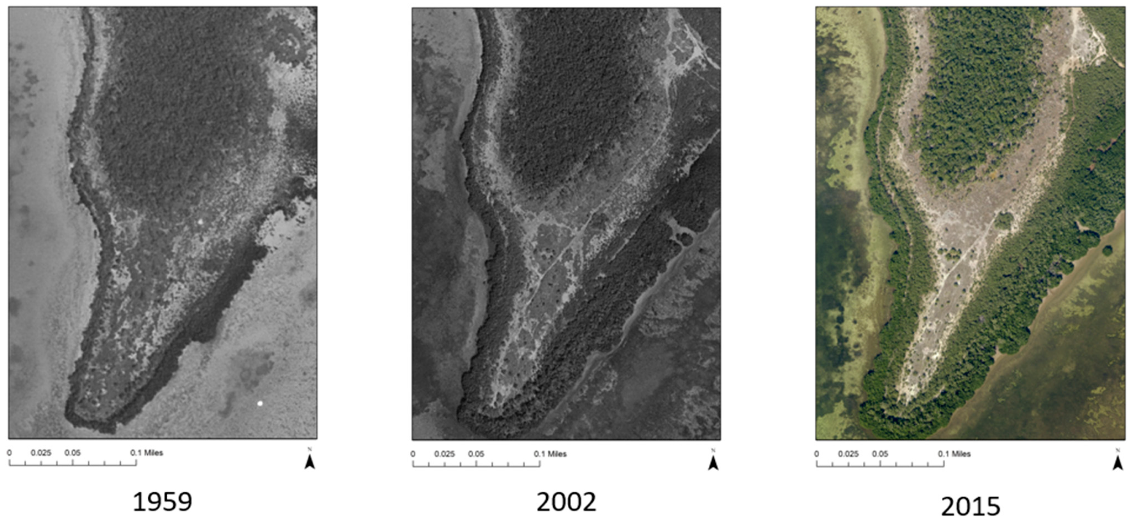 Sustainability 14 14553 g006