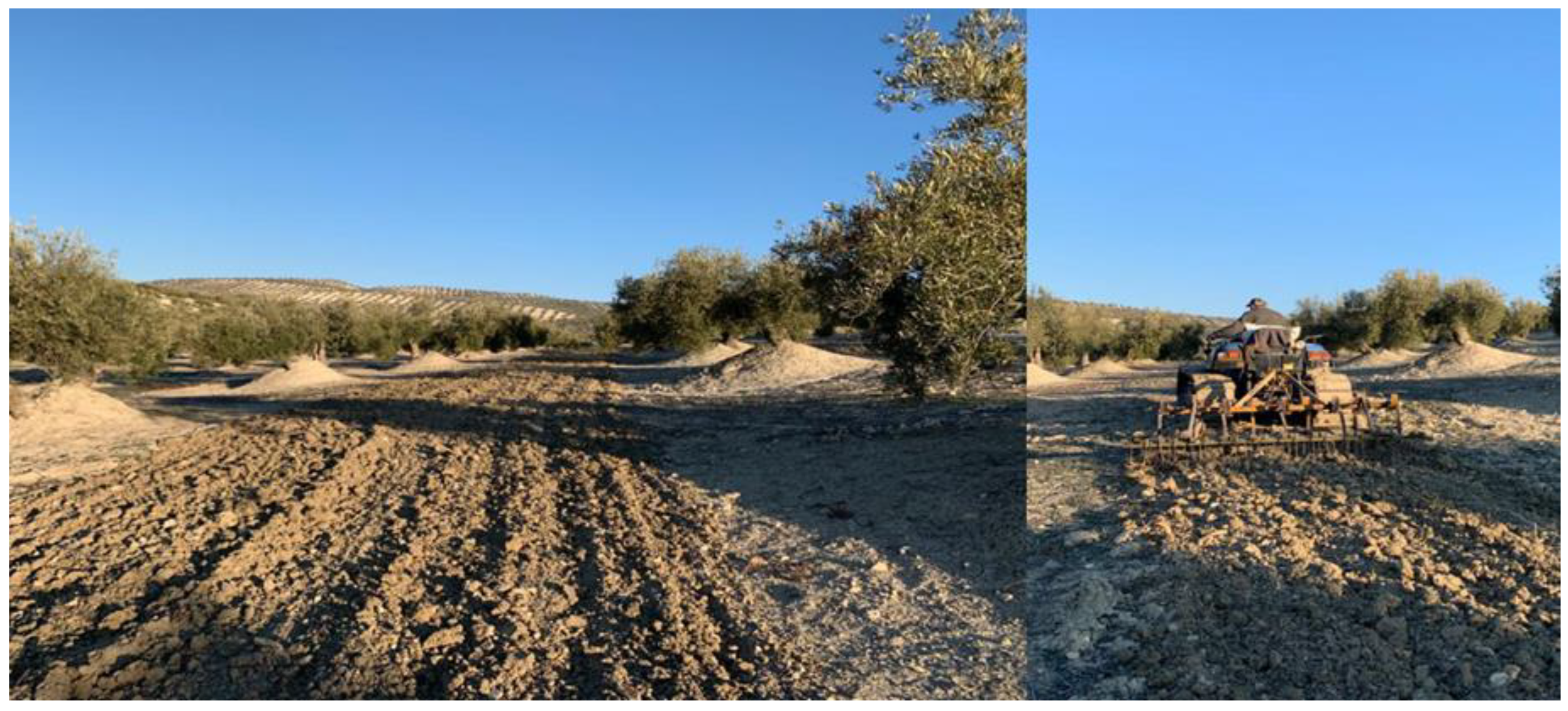 Sustainability 14 14609 g002 Sustainability 14 14609 g002