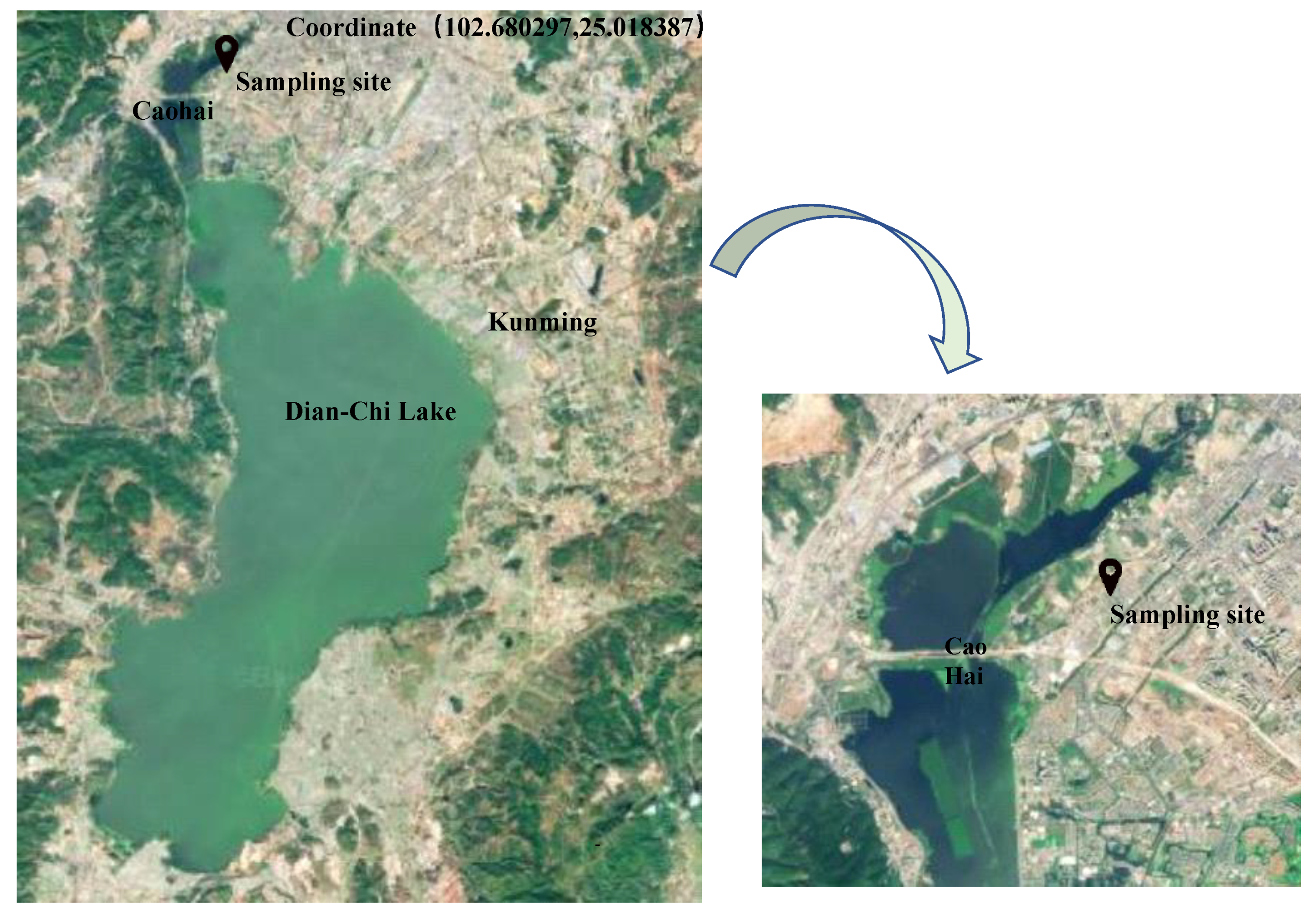 Sustainability 14 14618 g001 Sustainability 14 14618 g001