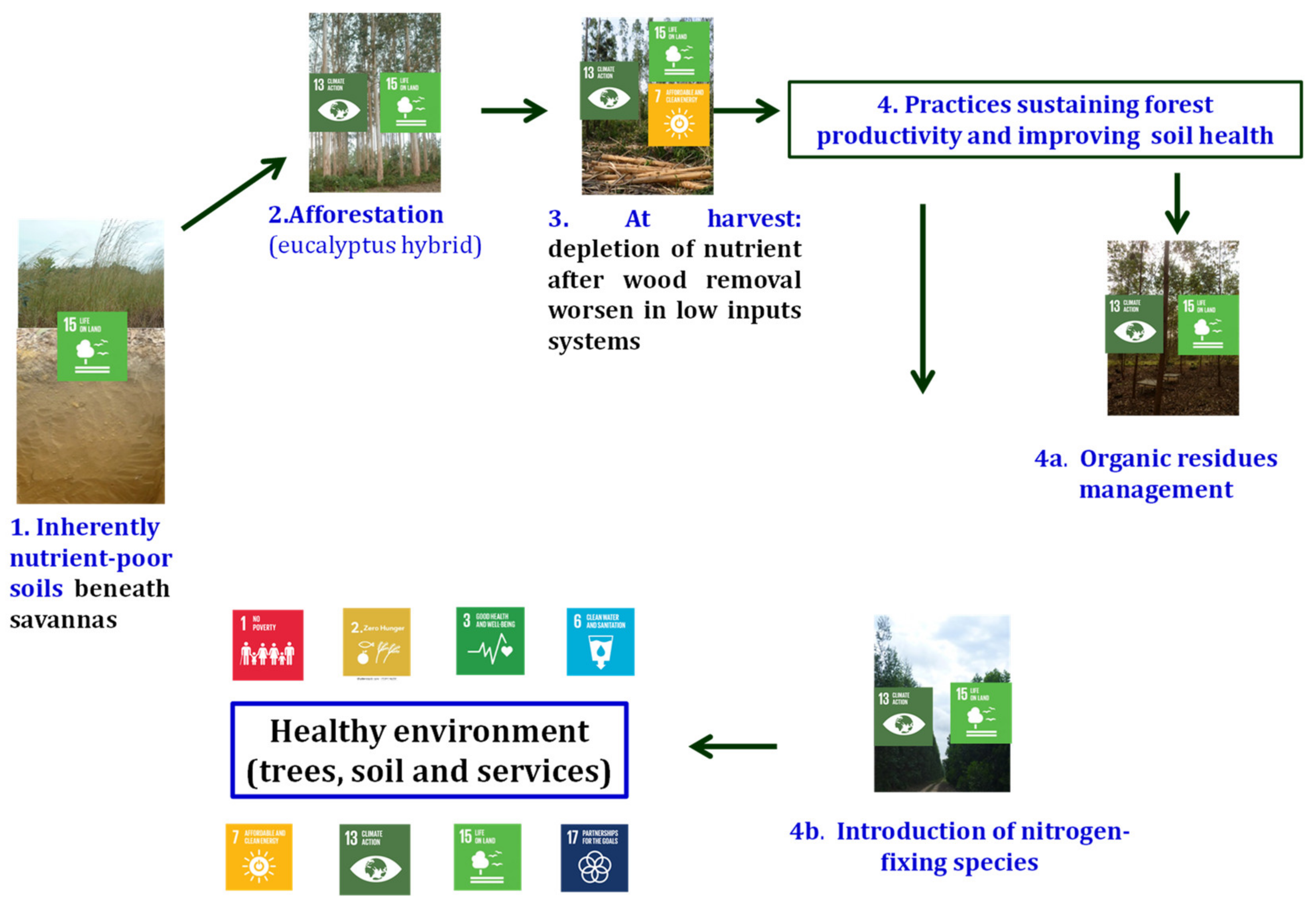 Sustainability 14 14624 g002 Sustainability 14 14624 g002