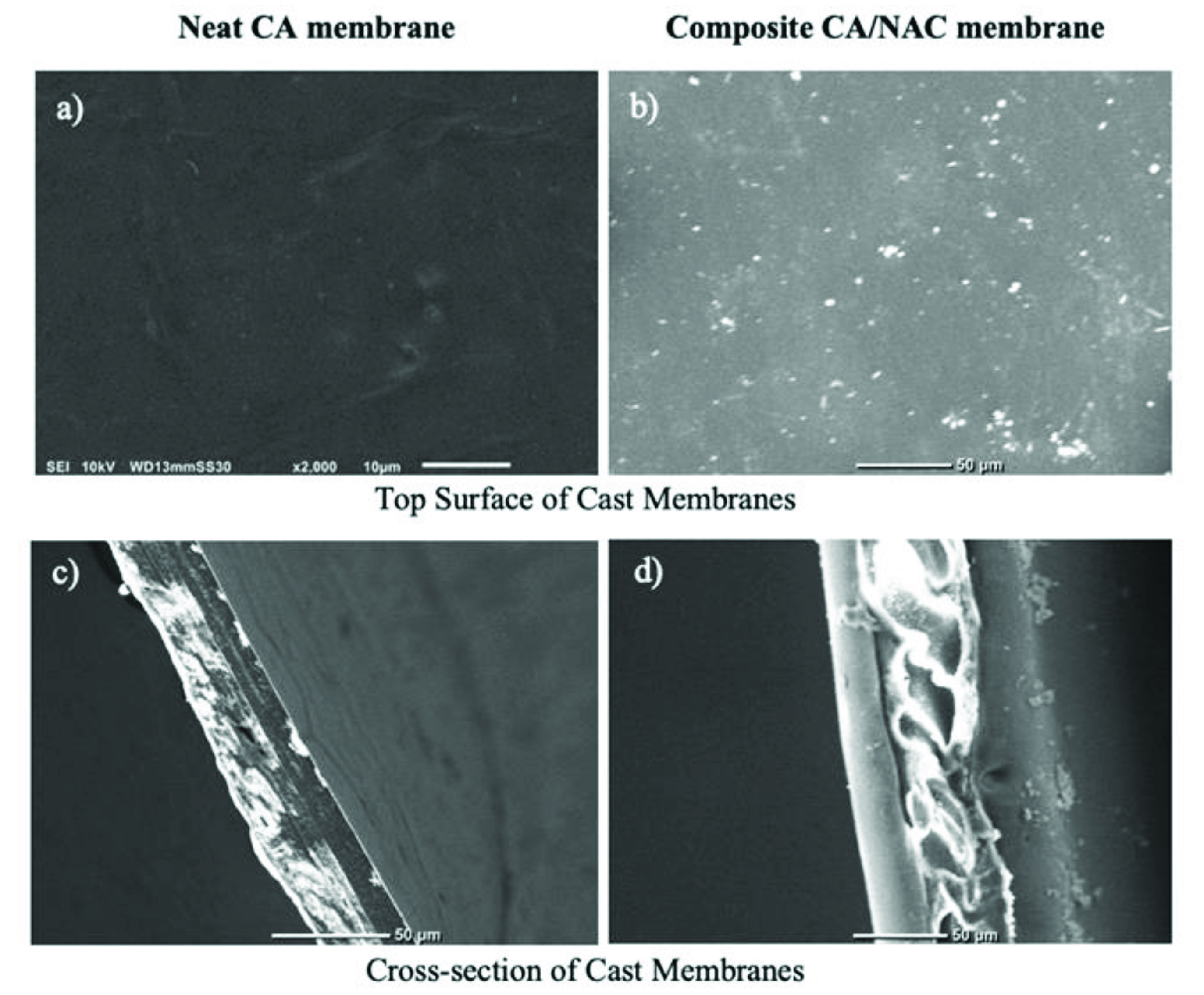 Sustainability 14 14665 g004