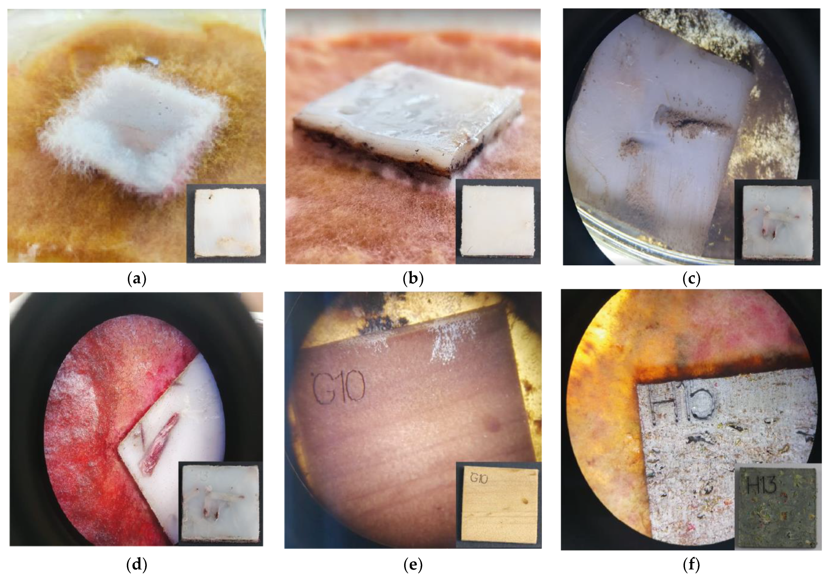 Sustainability 14 14683 g003