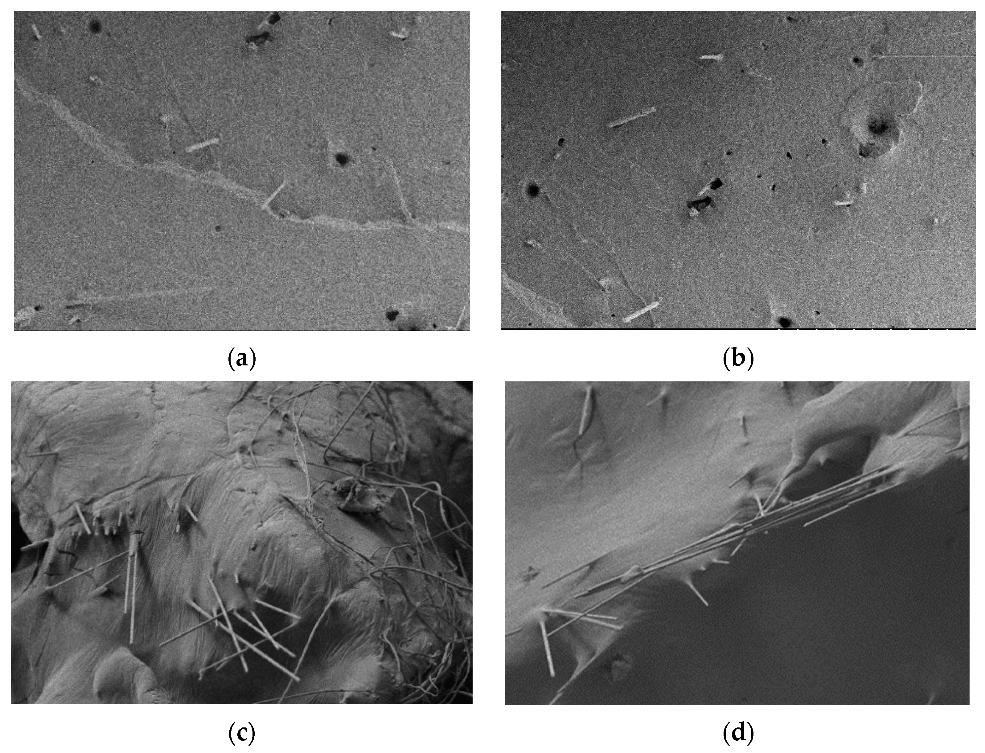 Sustainability 14 14724 g006