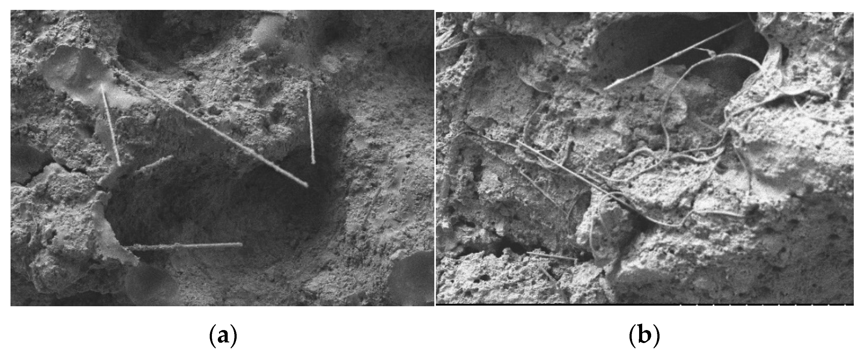 Sustainability 14 14724 g016