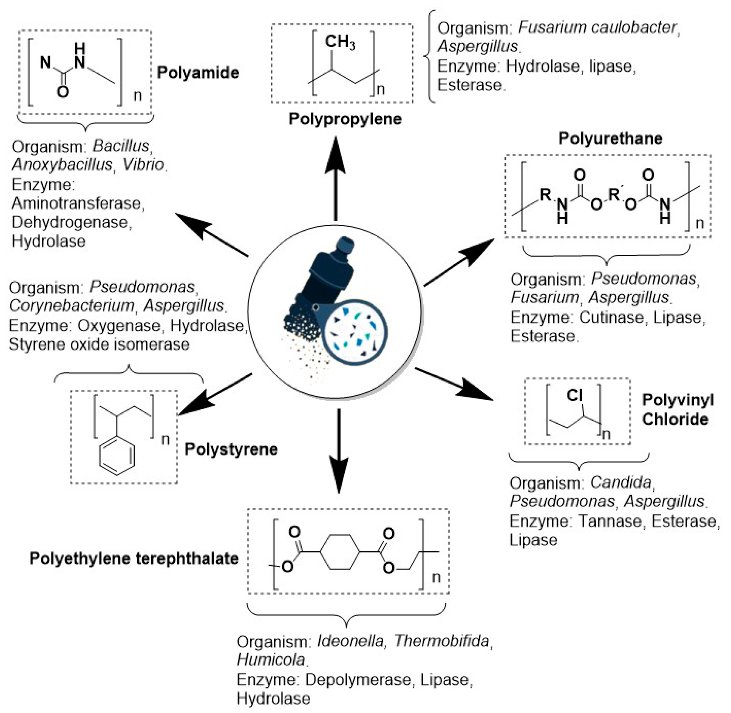 Sustainability 14 14761 g008