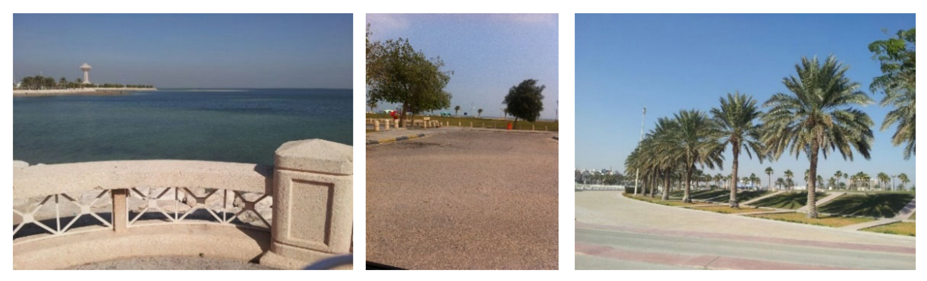 Sustainability 14 14775 g006