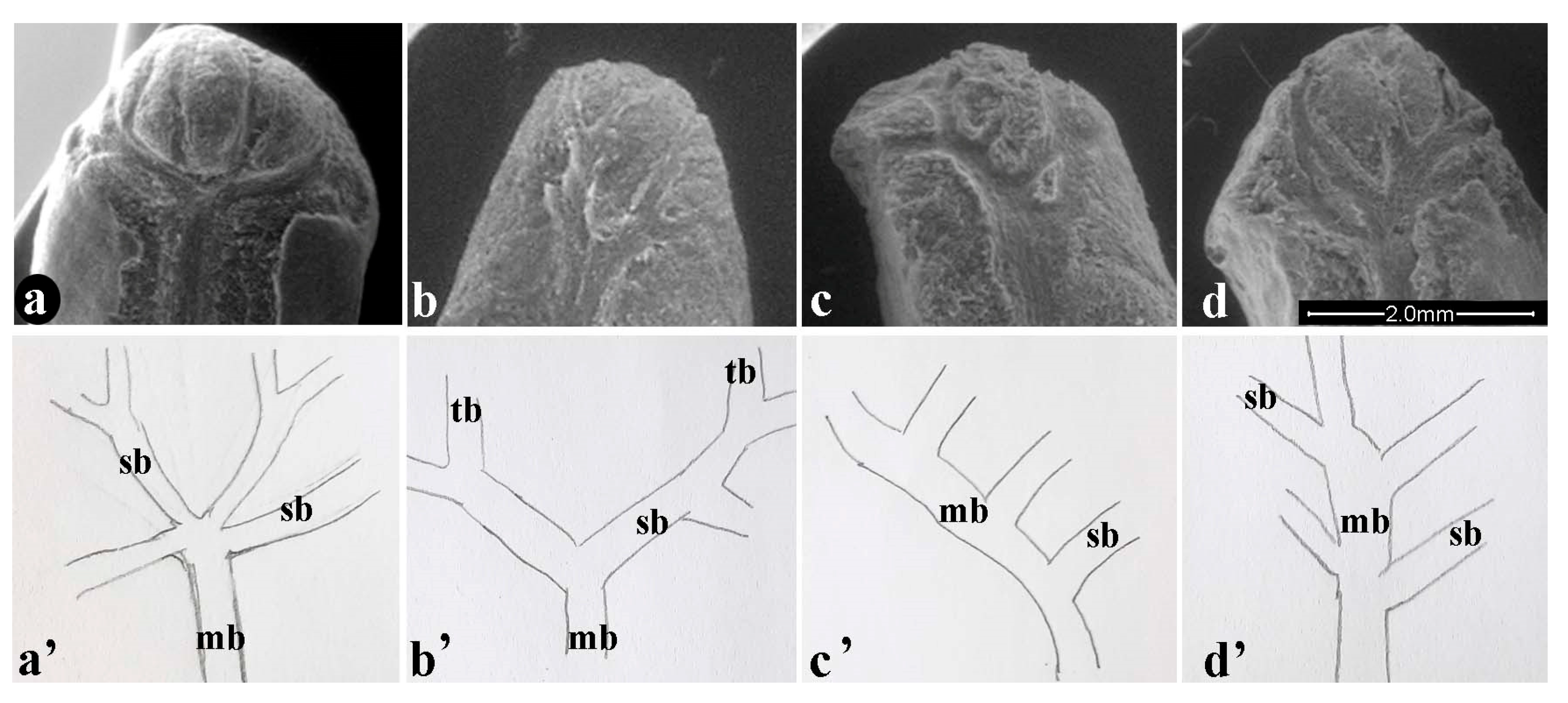 Sustainability 14 14780 g002 Sustainability 14 14780 g002