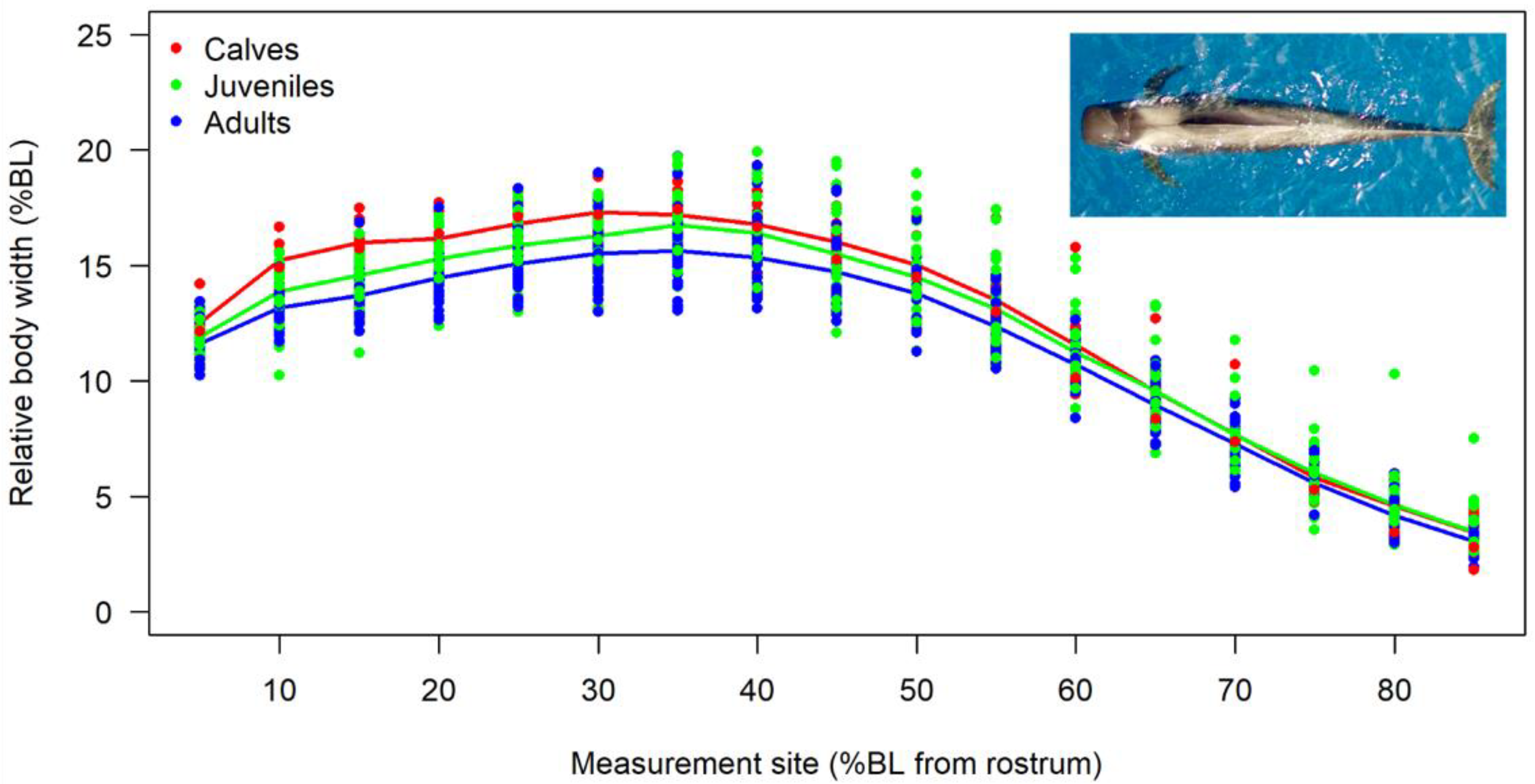 Sustainability 14 14787 g003 Sustainability 14 14787 g003