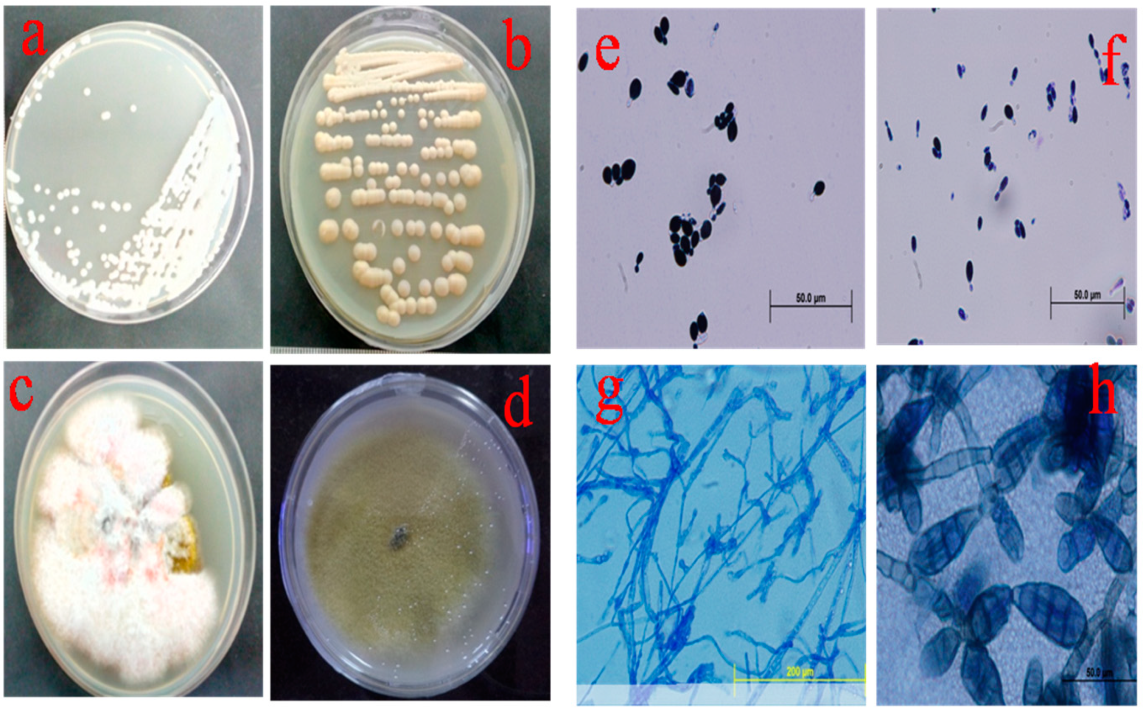 Sustainability 14 14814 g001