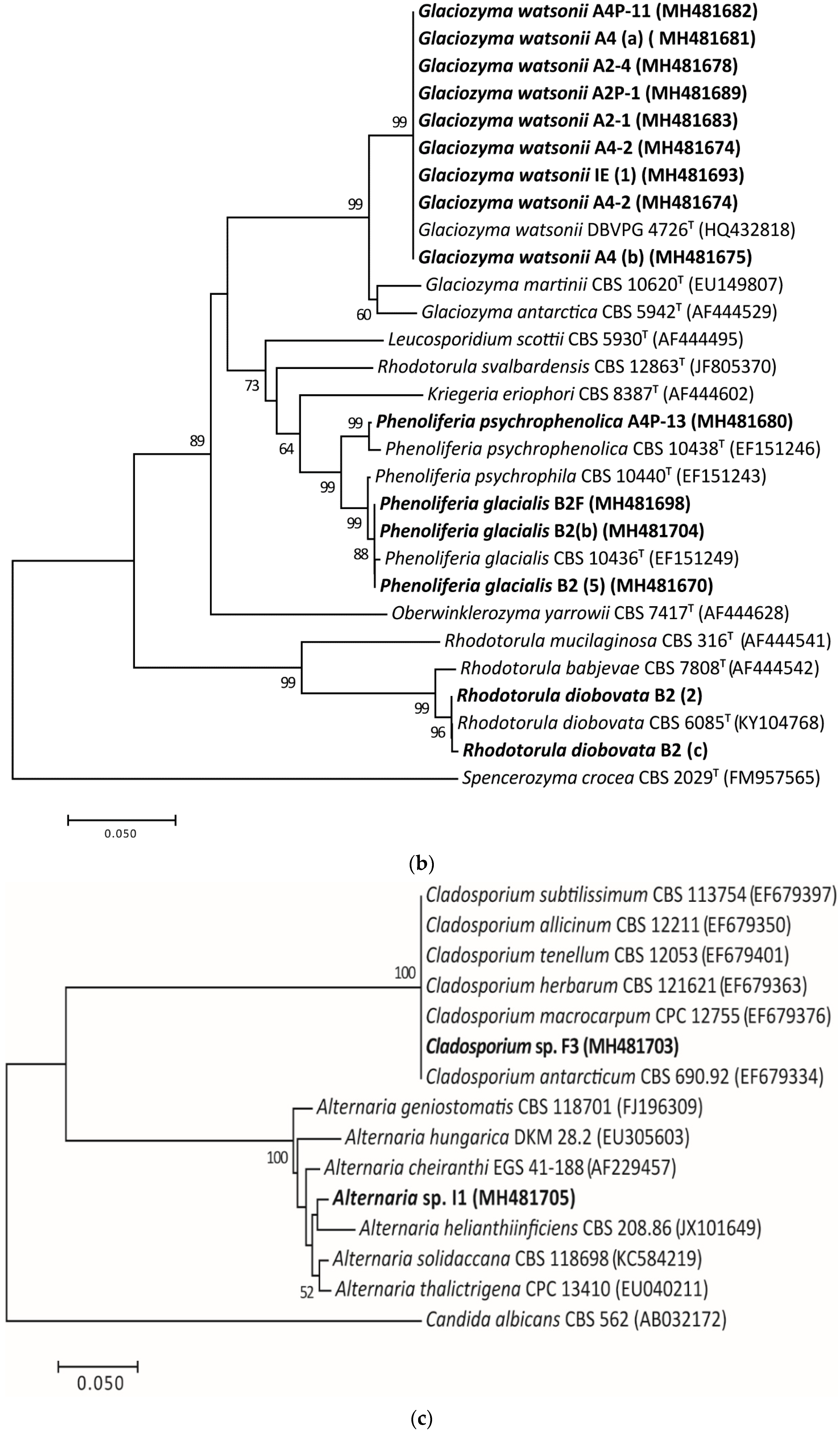 Sustainability 14 14814 g002b
