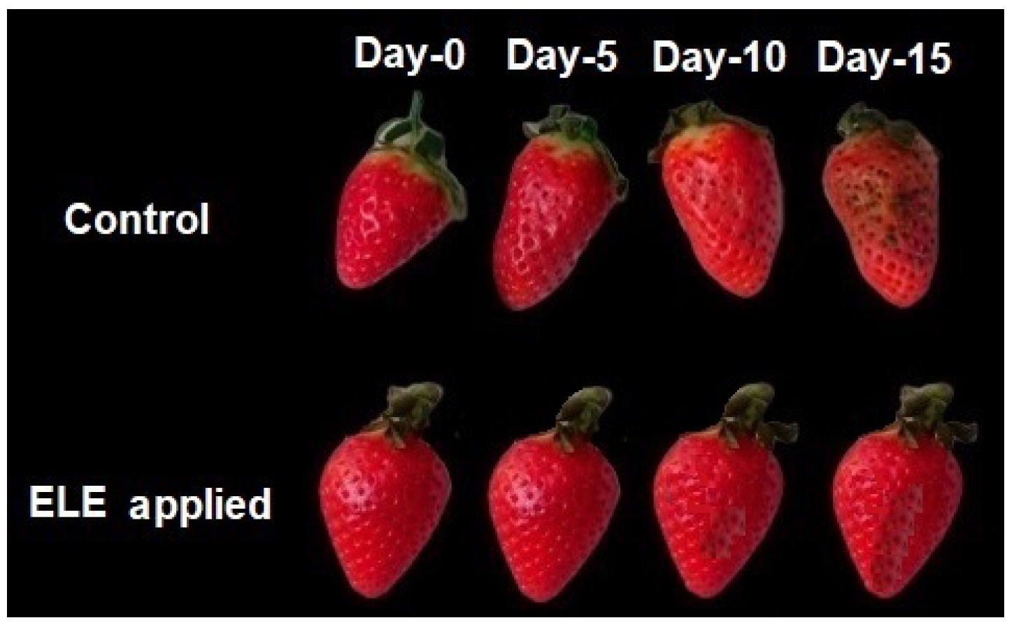 Sustainability 14 14822 g001 Sustainability 14 14822 g001