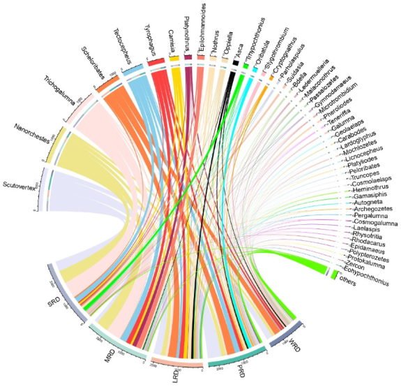 Sustainability 14 14860 g002