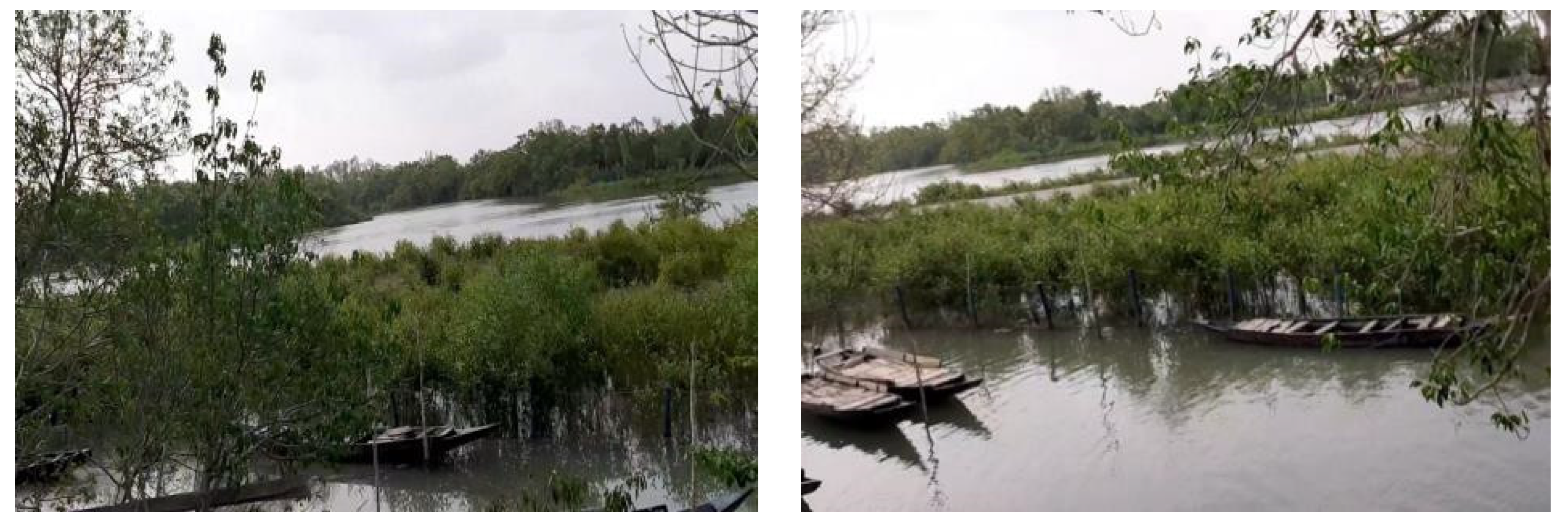 Sustainability 14 14885 g004 Sustainability 14 14885 g004