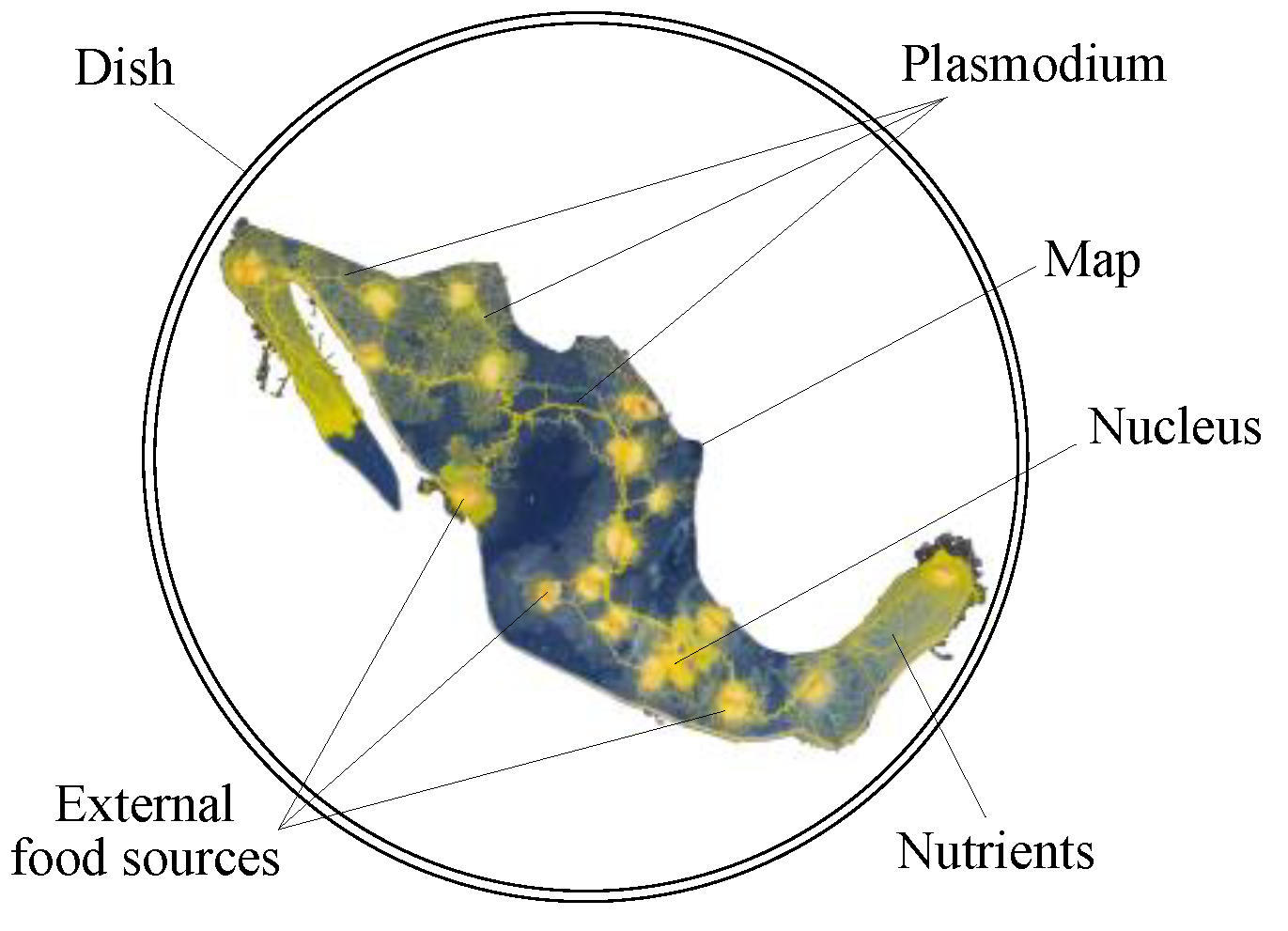 Sustainability 14 14930 g001