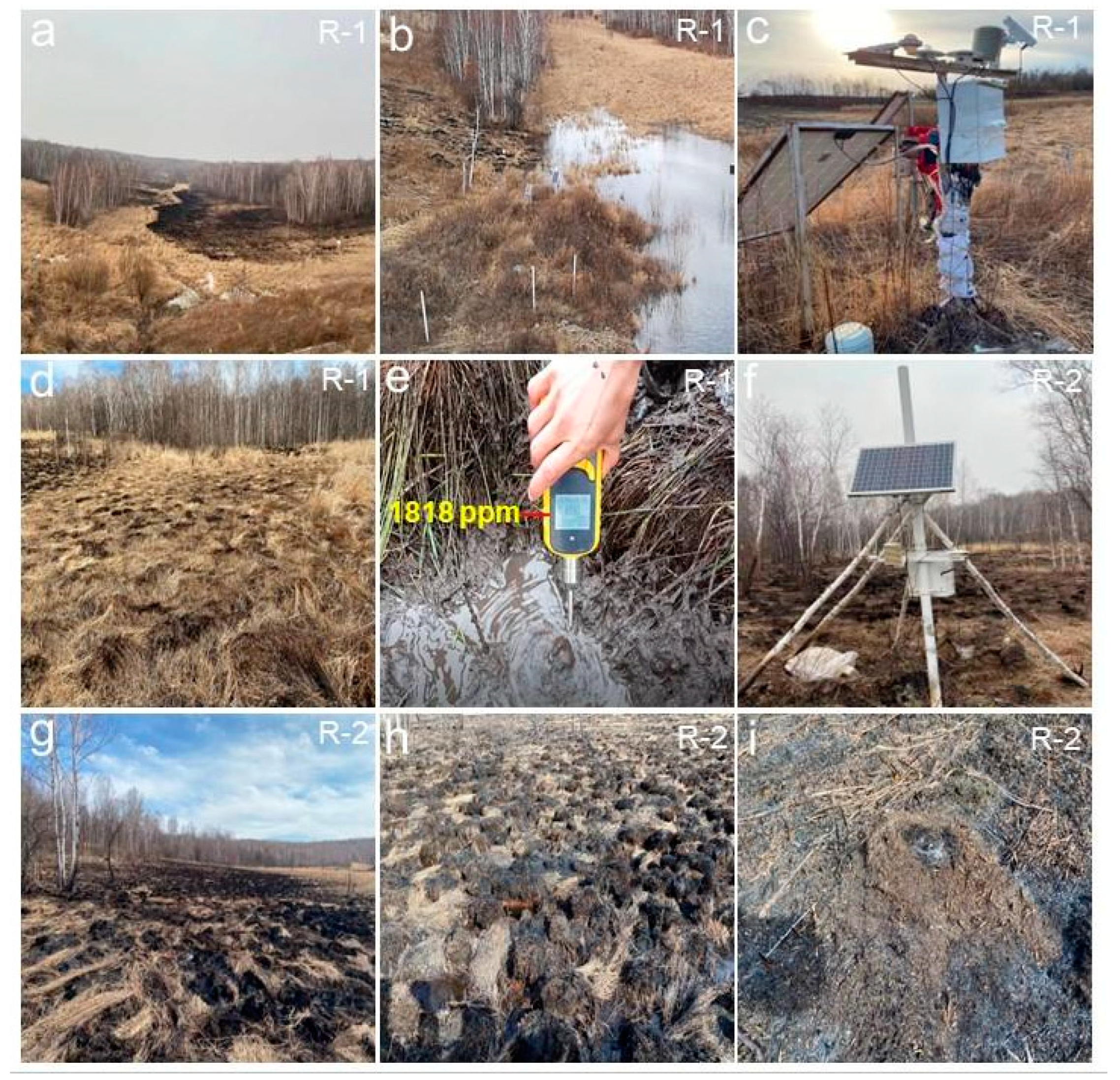 Sustainability 14 14947 g002 Sustainability 14 14947 g002