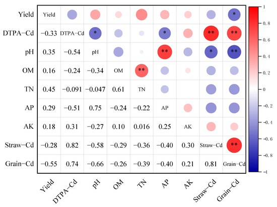 Effectiveness of Passivator Amendments and Optimized