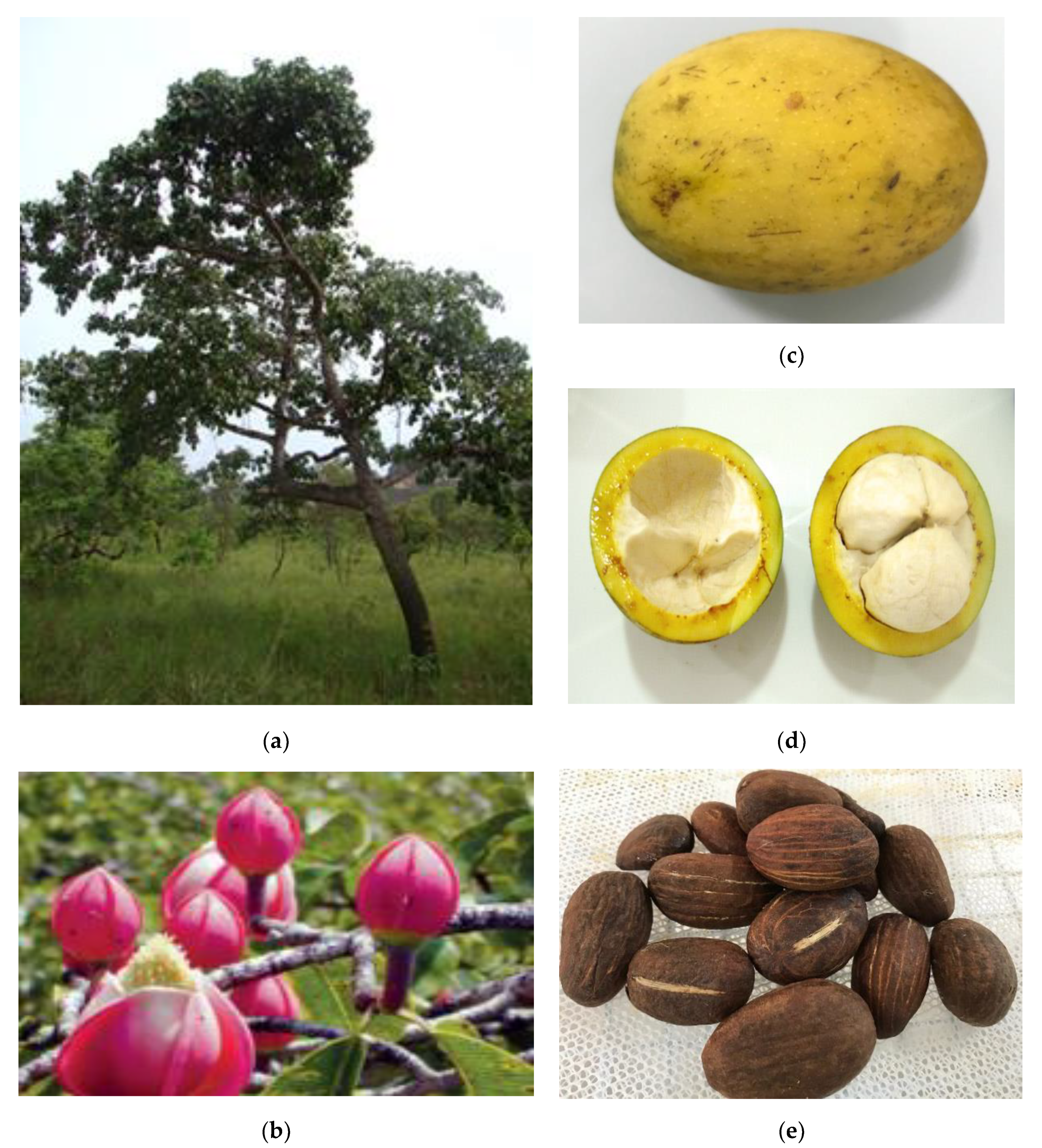 Sustainability 14 15051 g001 Sustainability 14 15051 g001