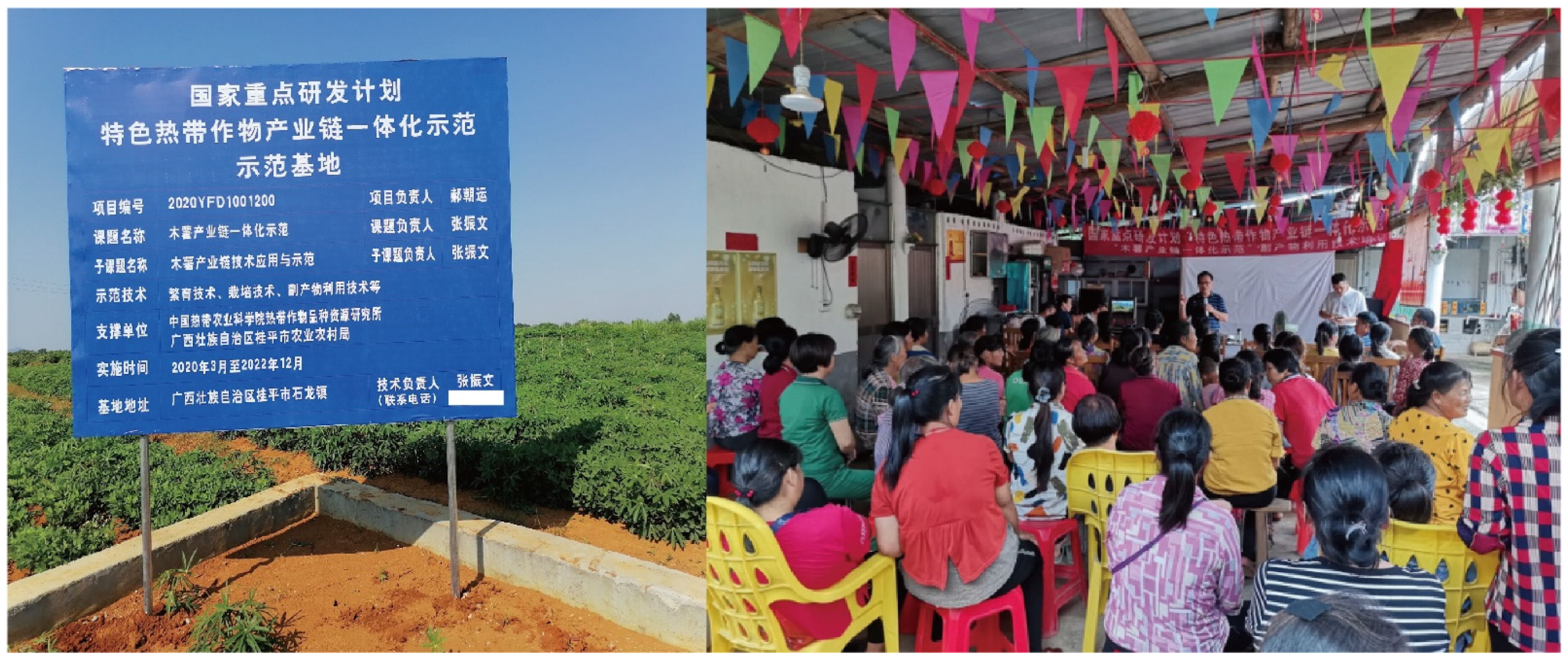 Sustainability 14 15052 g005