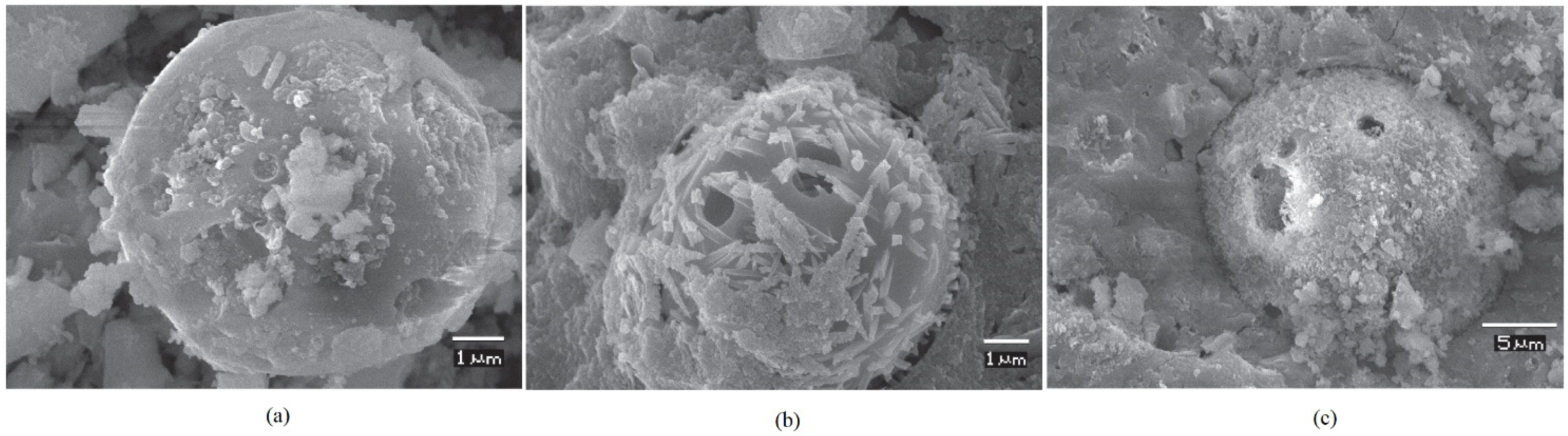 Sustainability 14 15062 g029 Sustainability 14 15062 g029
