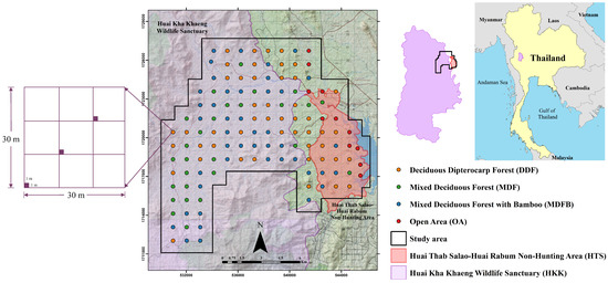 Effects of Fire on Diversity and Aboveground Biomass of Understory 