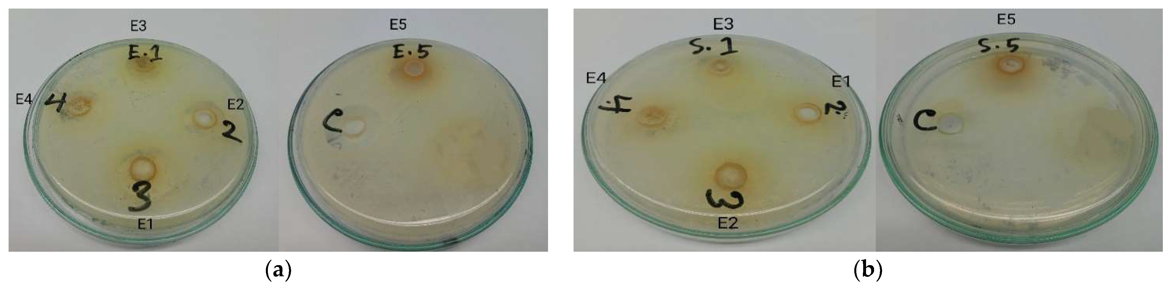 Sustainability 14 15071 g009 Sustainability 14 15071 g009