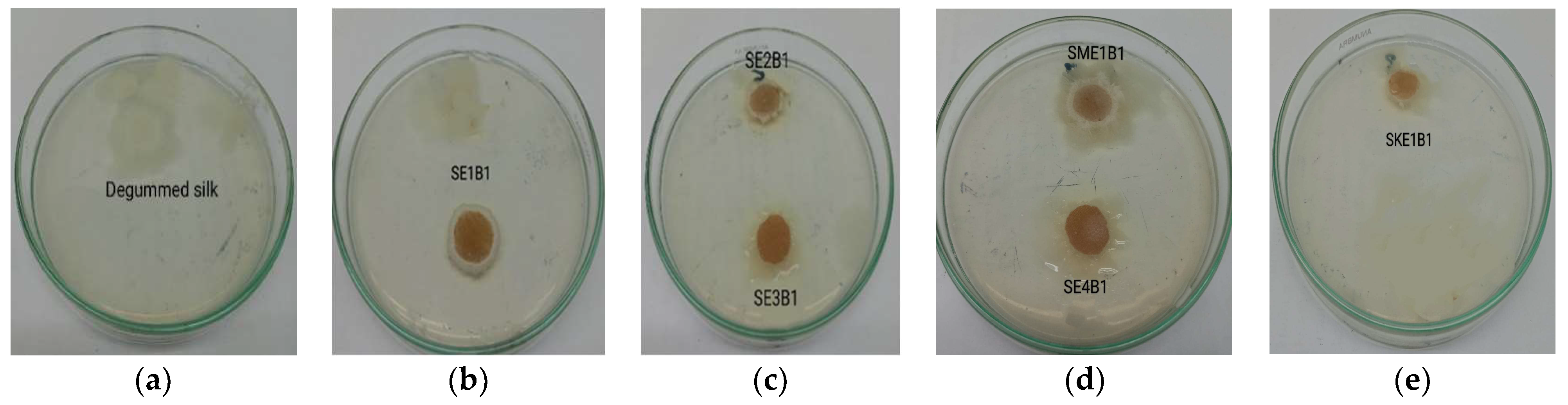 Sustainability 14 15071 g011 Sustainability 14 15071 g011
