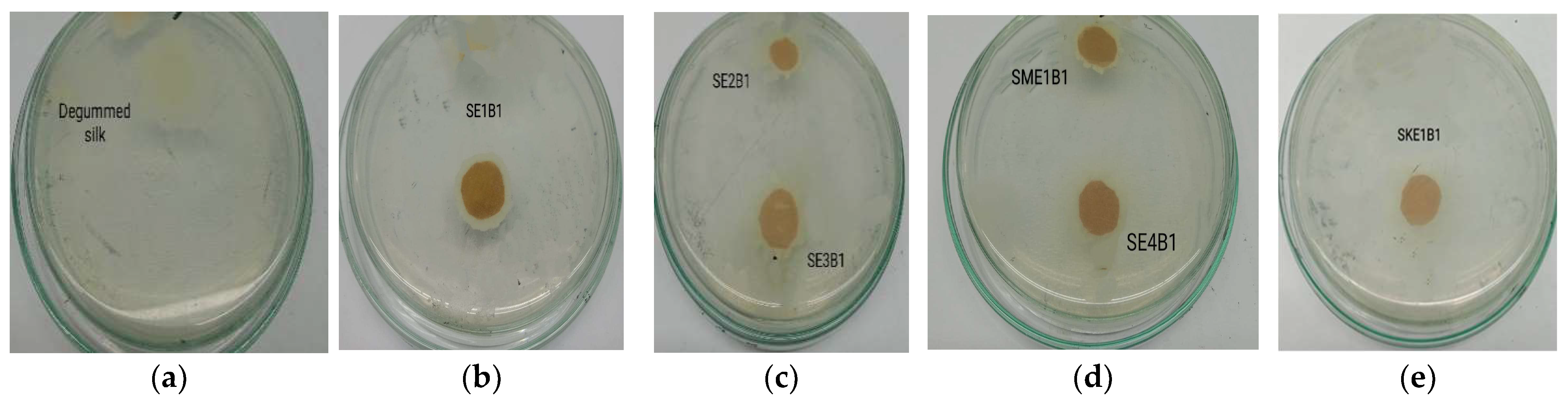 Sustainability 14 15071 g012 Sustainability 14 15071 g012