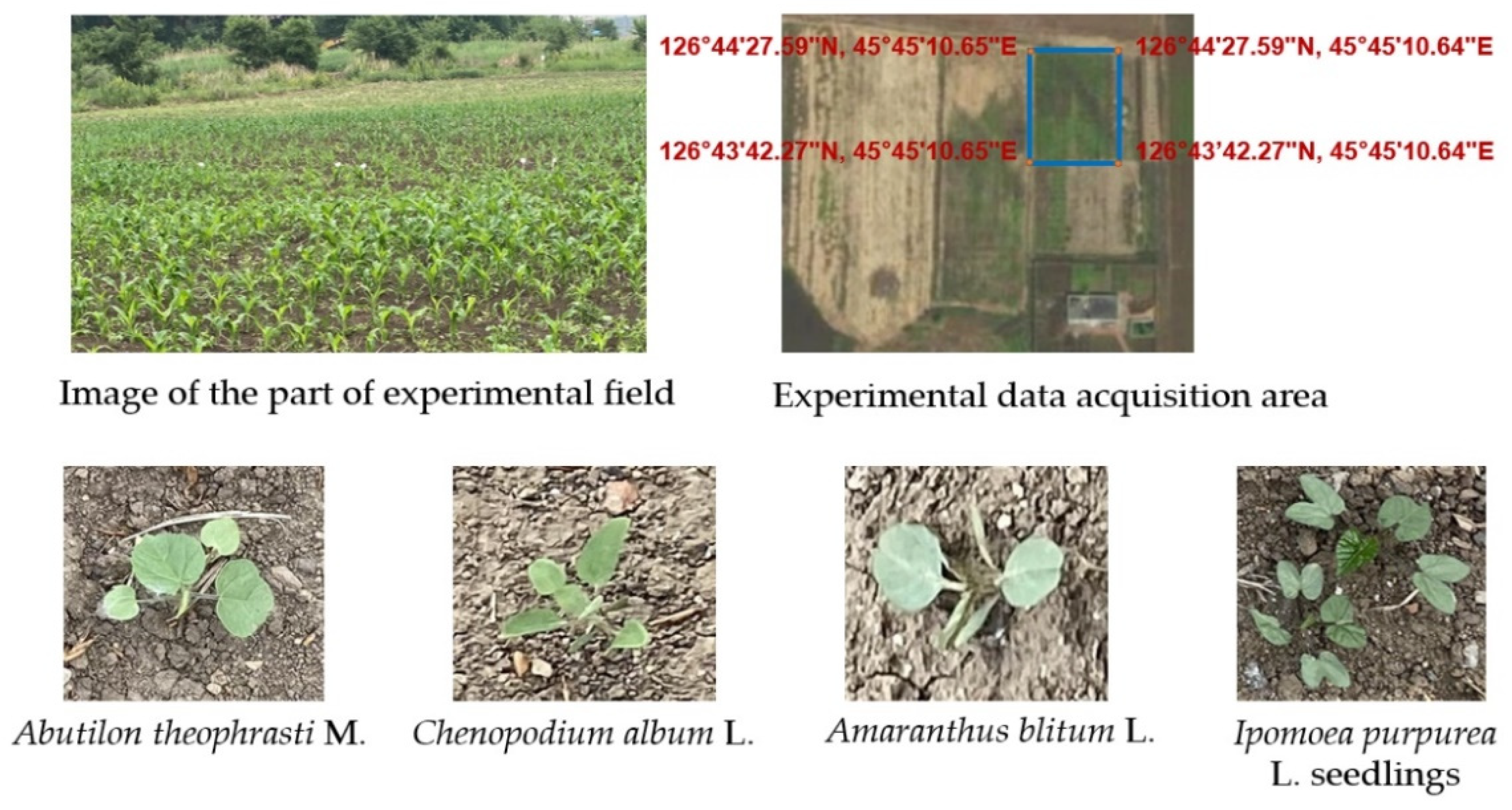 Sustainability 14 15088 g001a