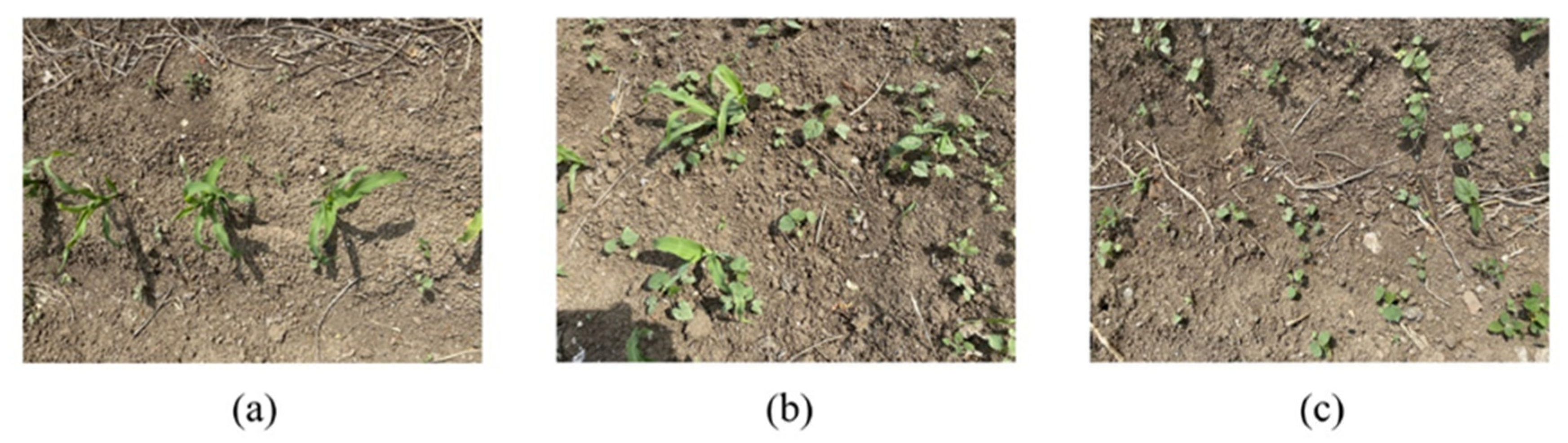 Sustainability 14 15088 g002