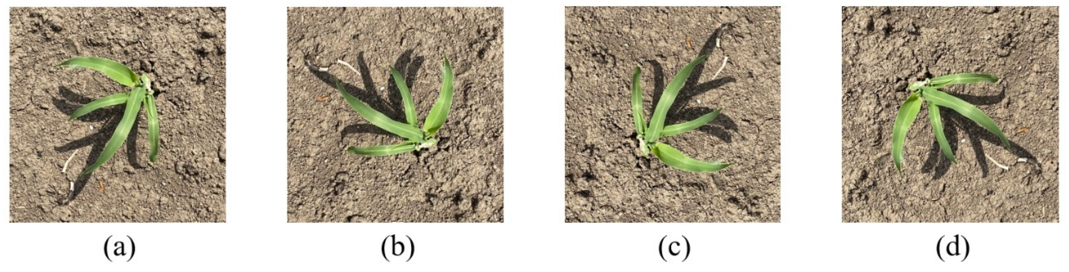 Sustainability 14 15088 g003