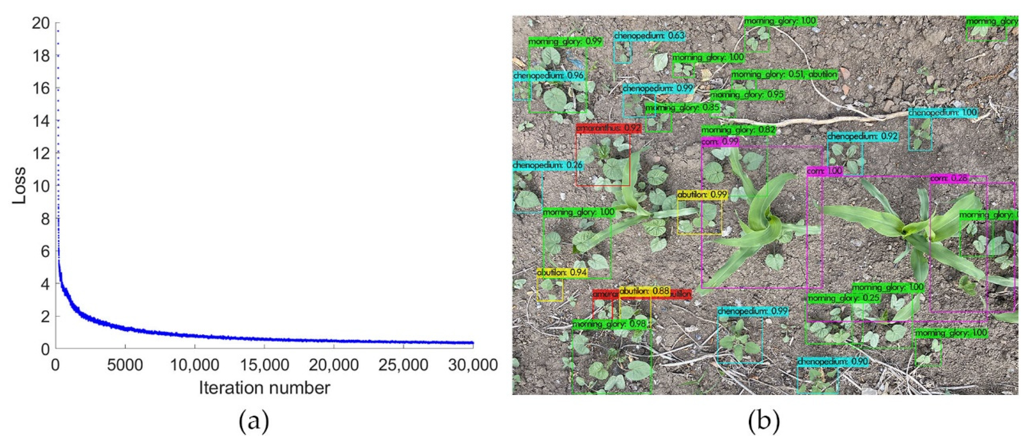 Sustainability 14 15088 g012