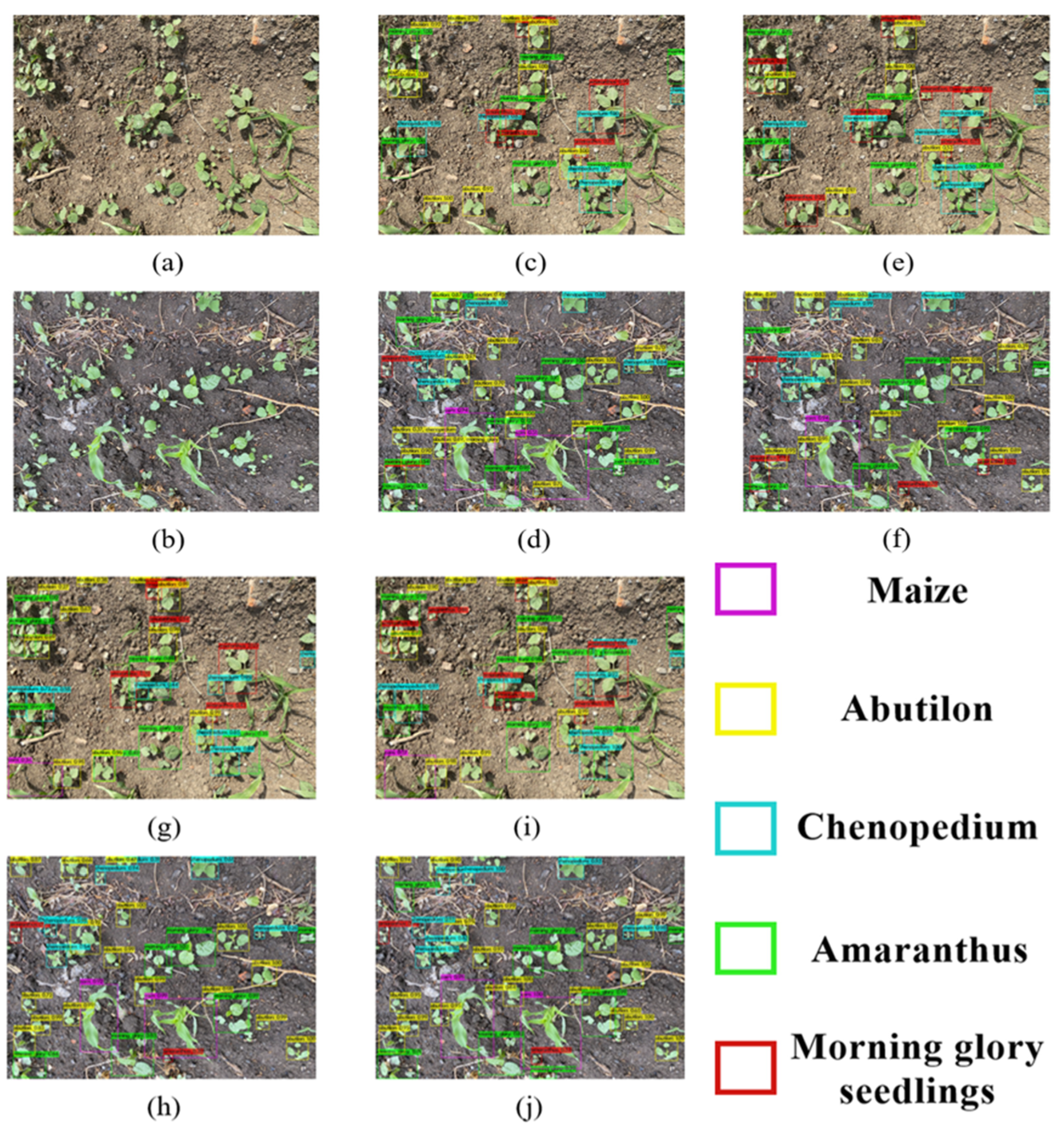 Sustainability 14 15088 g014