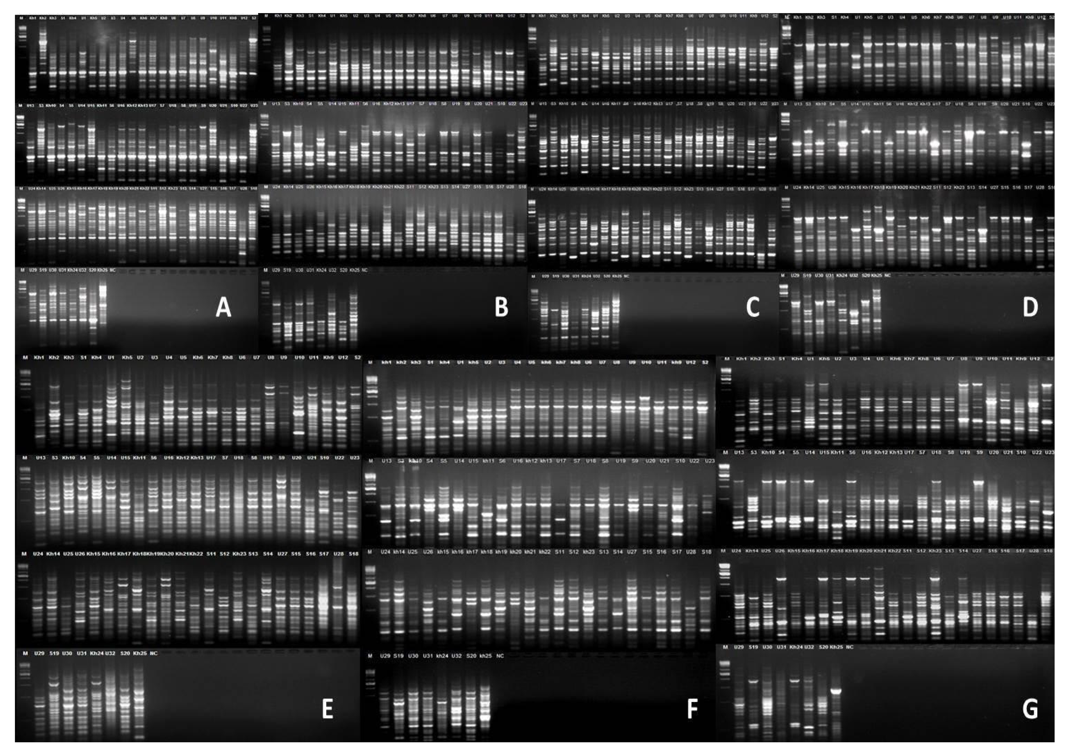 Sustainability 14 15111 g001 Sustainability 14 15111 g001