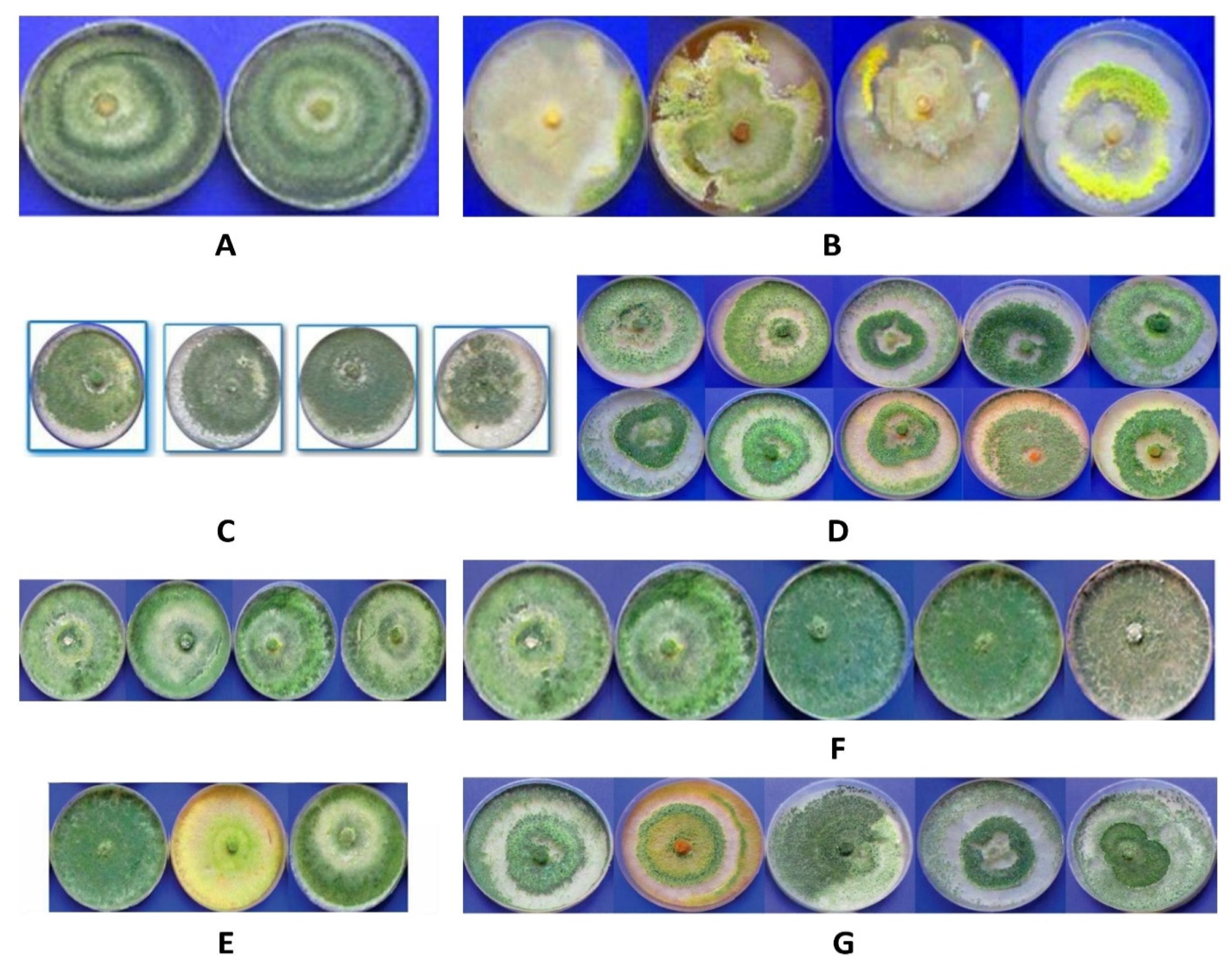 Sustainability 14 15111 g003 Sustainability 14 15111 g003