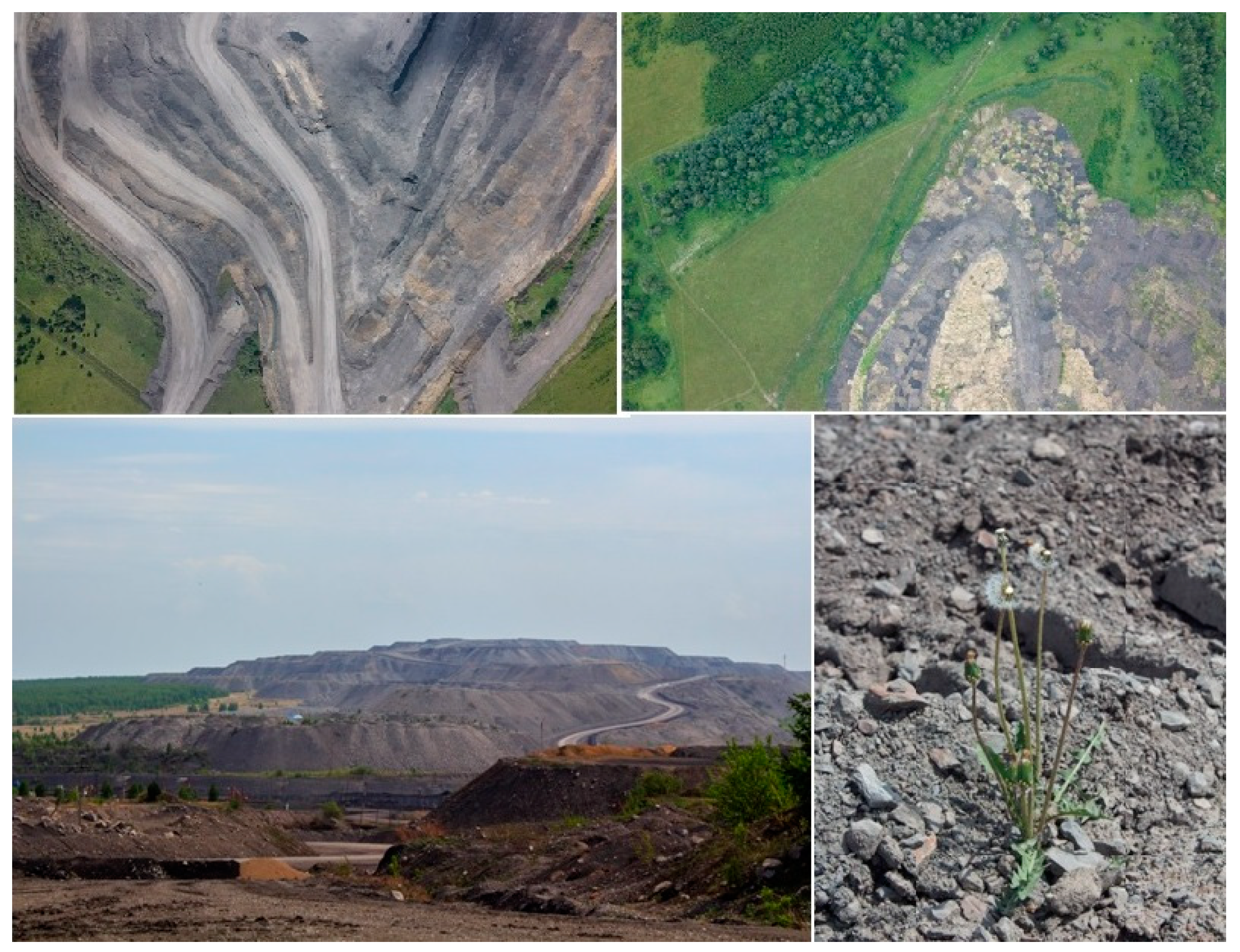 Sustainability 14 15135 g003 Sustainability 14 15135 g003