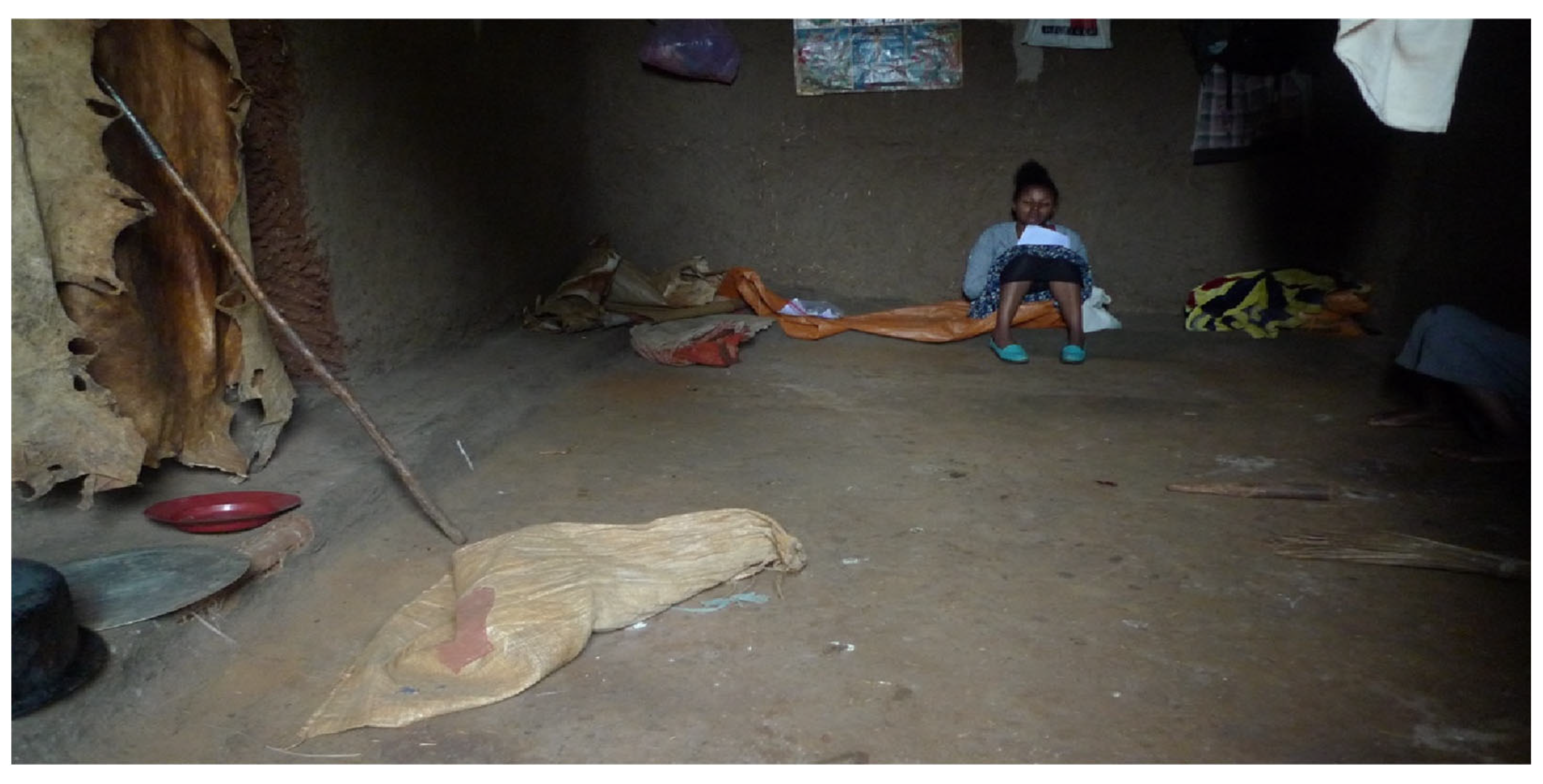 Sustainability 14 15215 g005