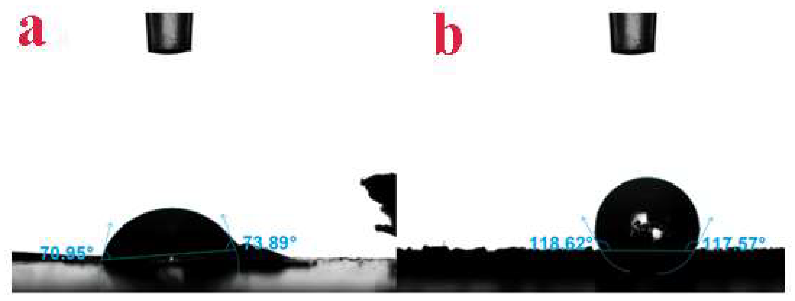 Sustainability 14 15290 g005