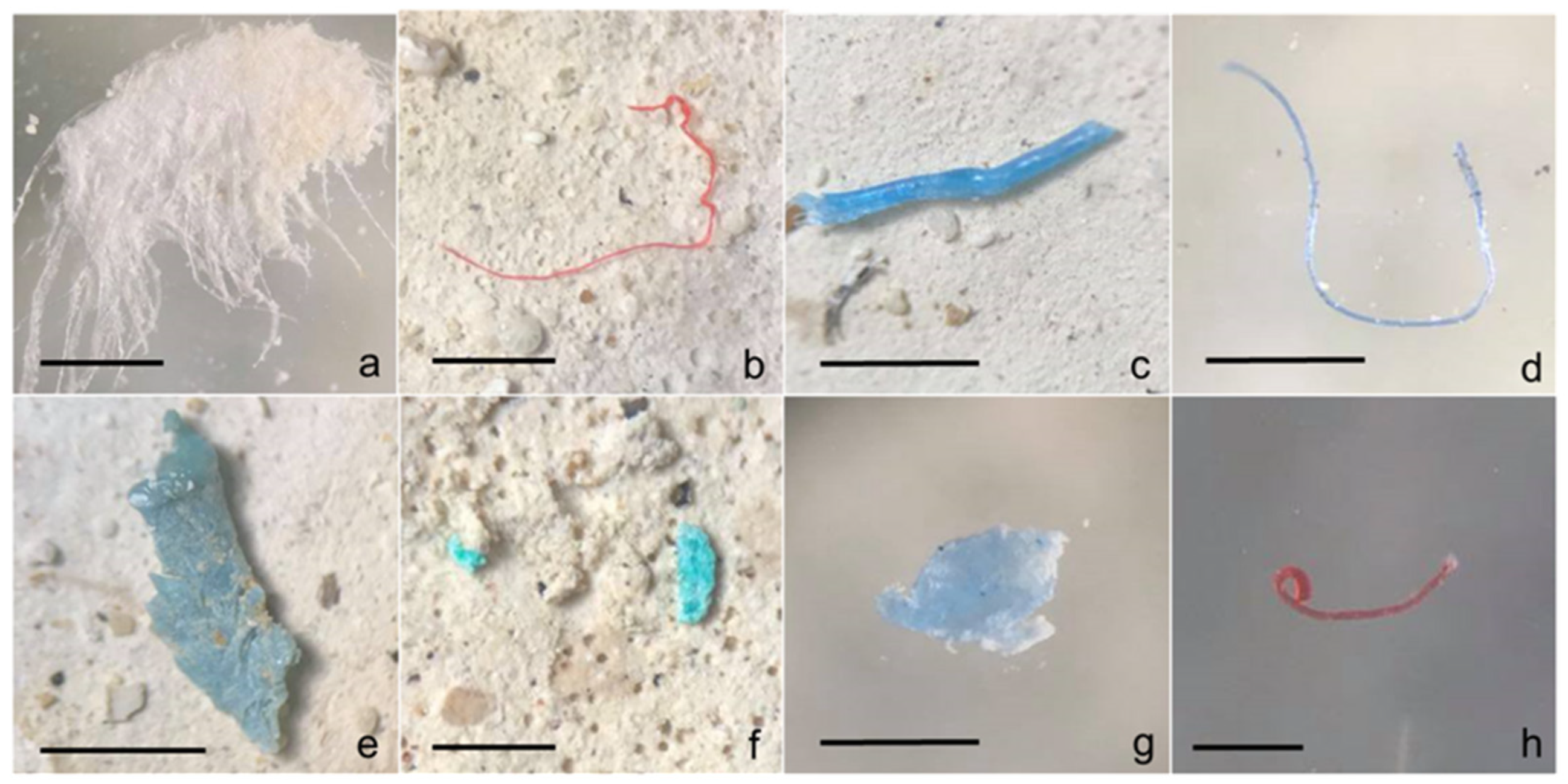 Sustainability 14 15303 g003 Sustainability 14 15303 g003