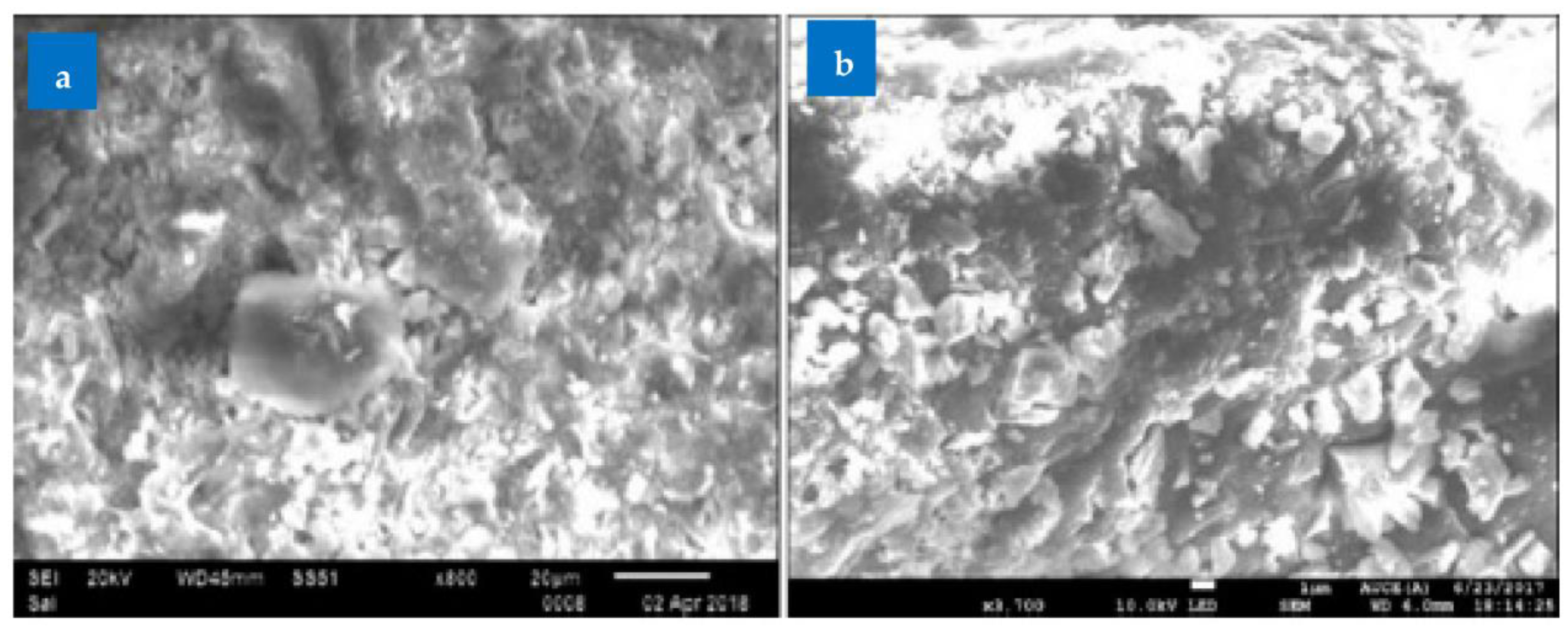 Sustainability 14 15304 g019 Sustainability 14 15304 g019