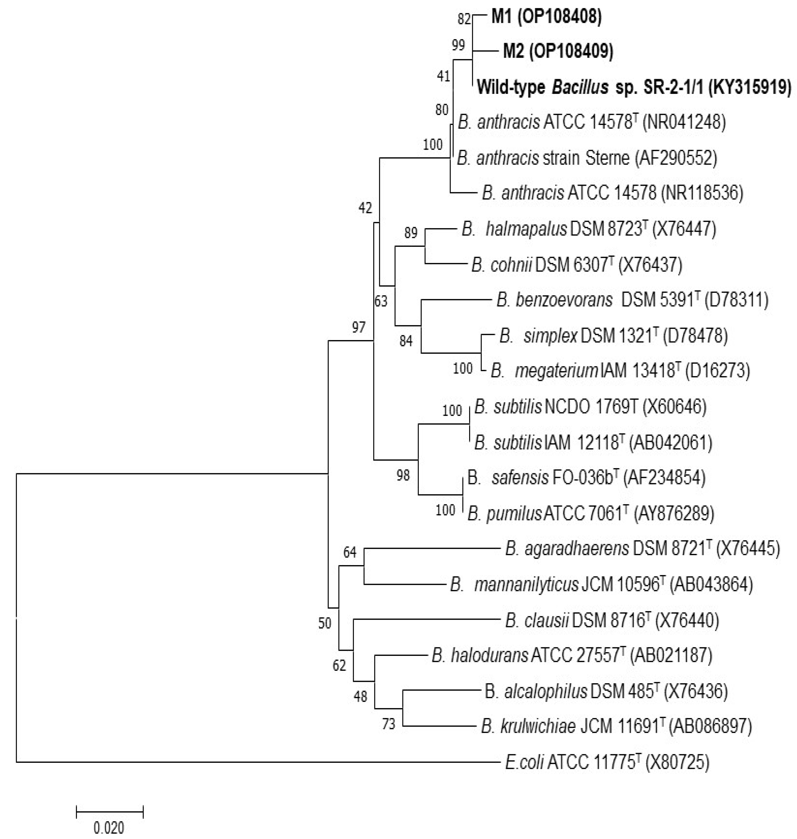 Sustainability 14 15341 g003 Sustainability 14 15341 g003