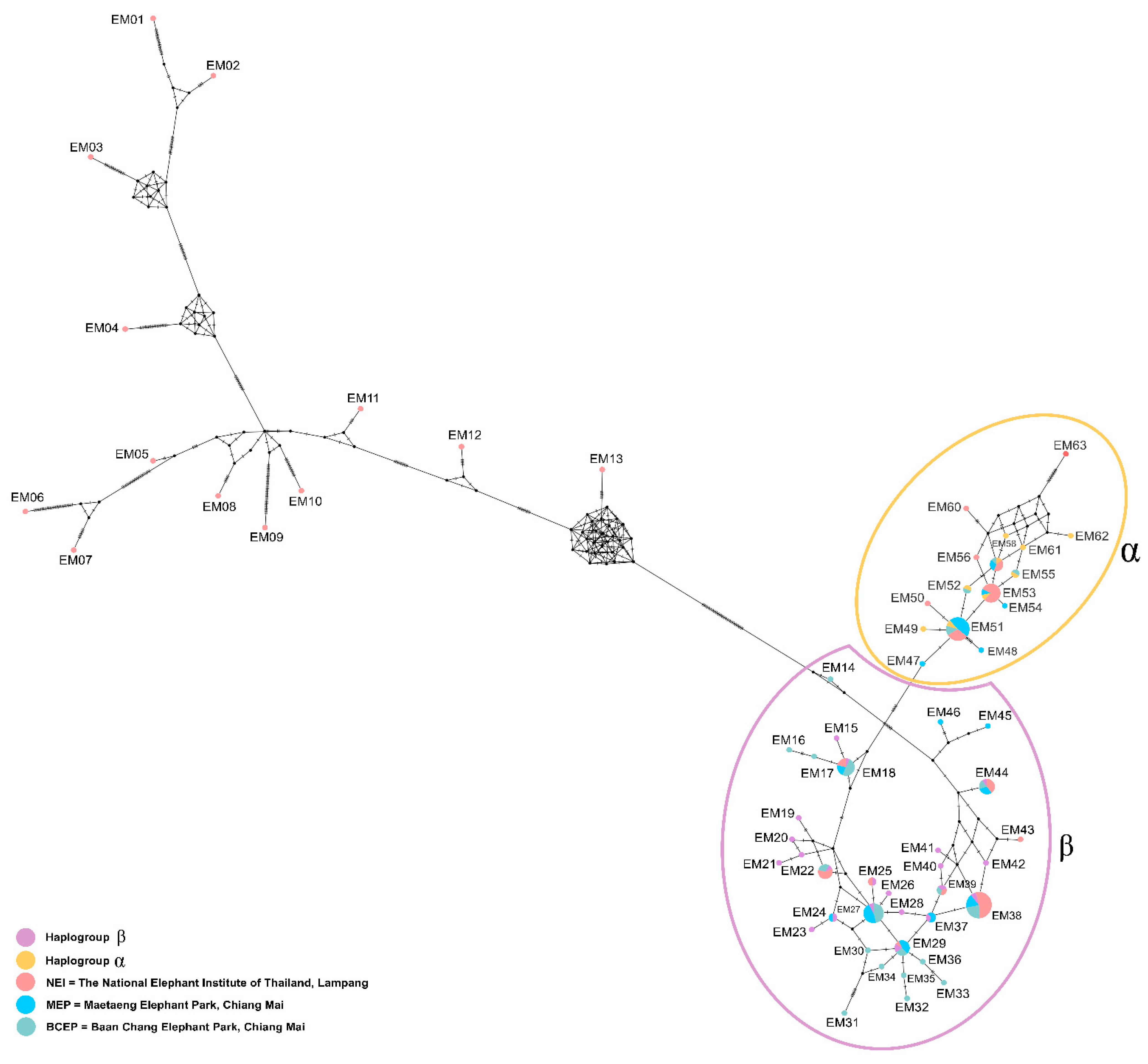 Sustainability 14 15355 g005 Sustainability 14 15355 g005