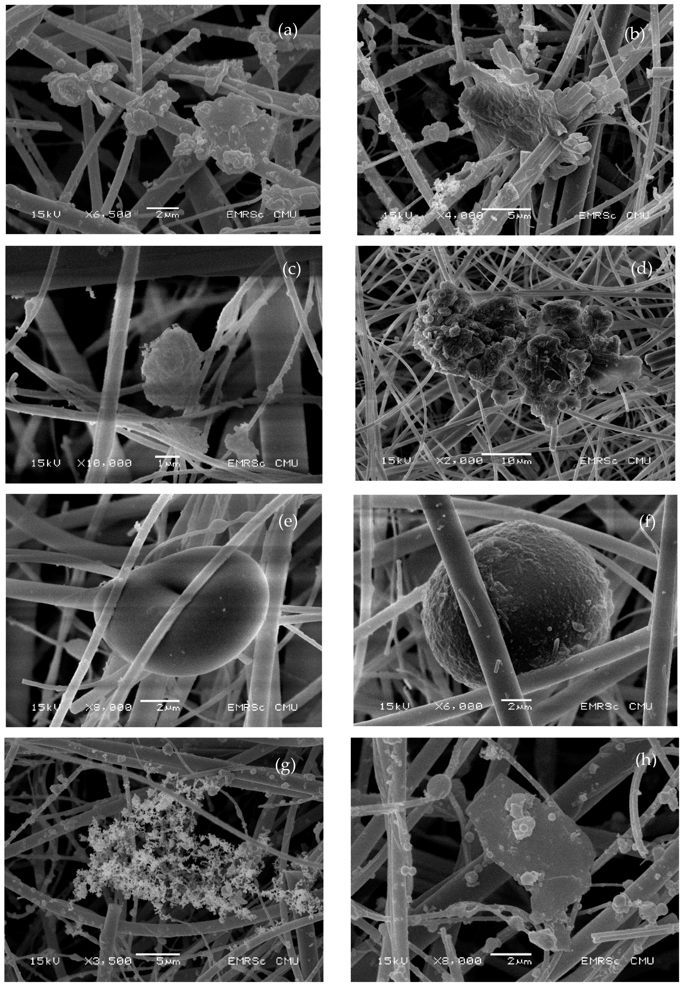 Sustainability 14 15368 g006 Sustainability 14 15368 g006