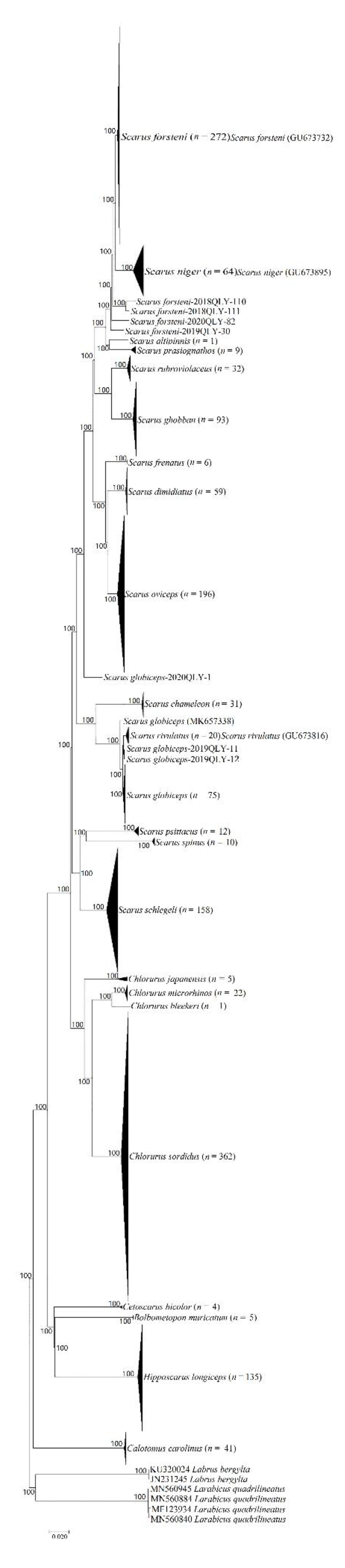 Sustainability 14 15386 g004